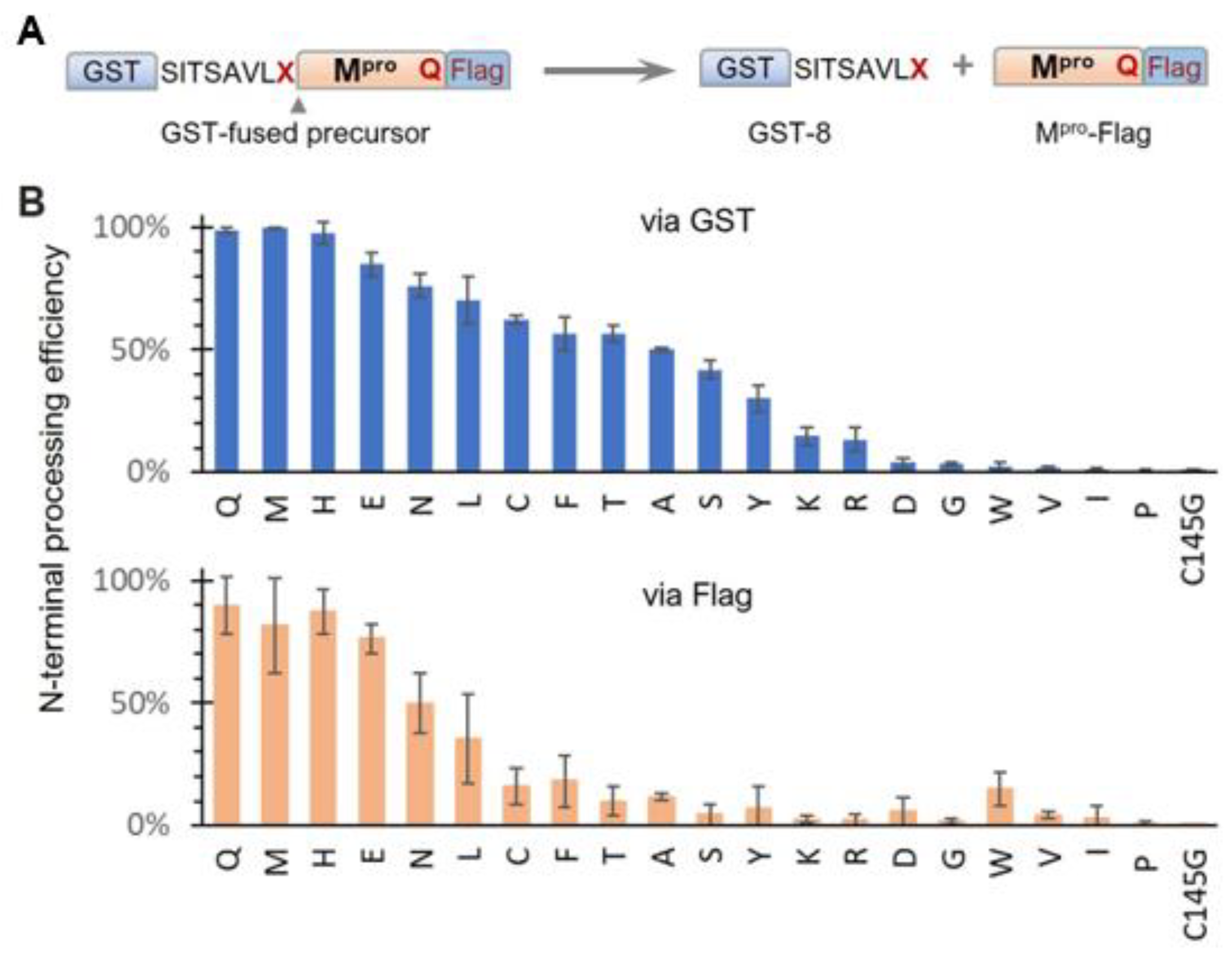 Viruses 16 01218 g002 Viruses 16 01218 g002
