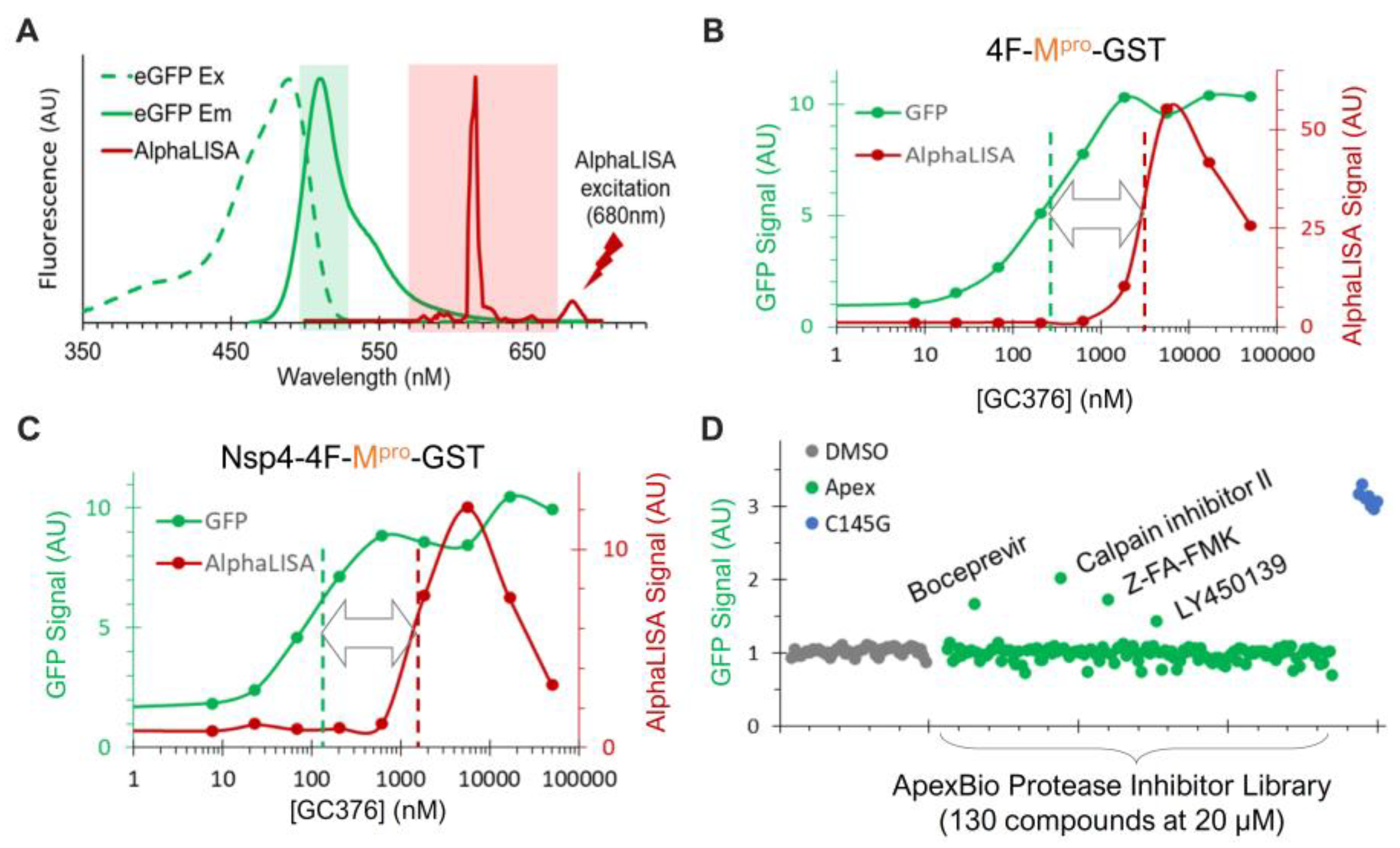 Viruses 16 01218 g006 Viruses 16 01218 g006