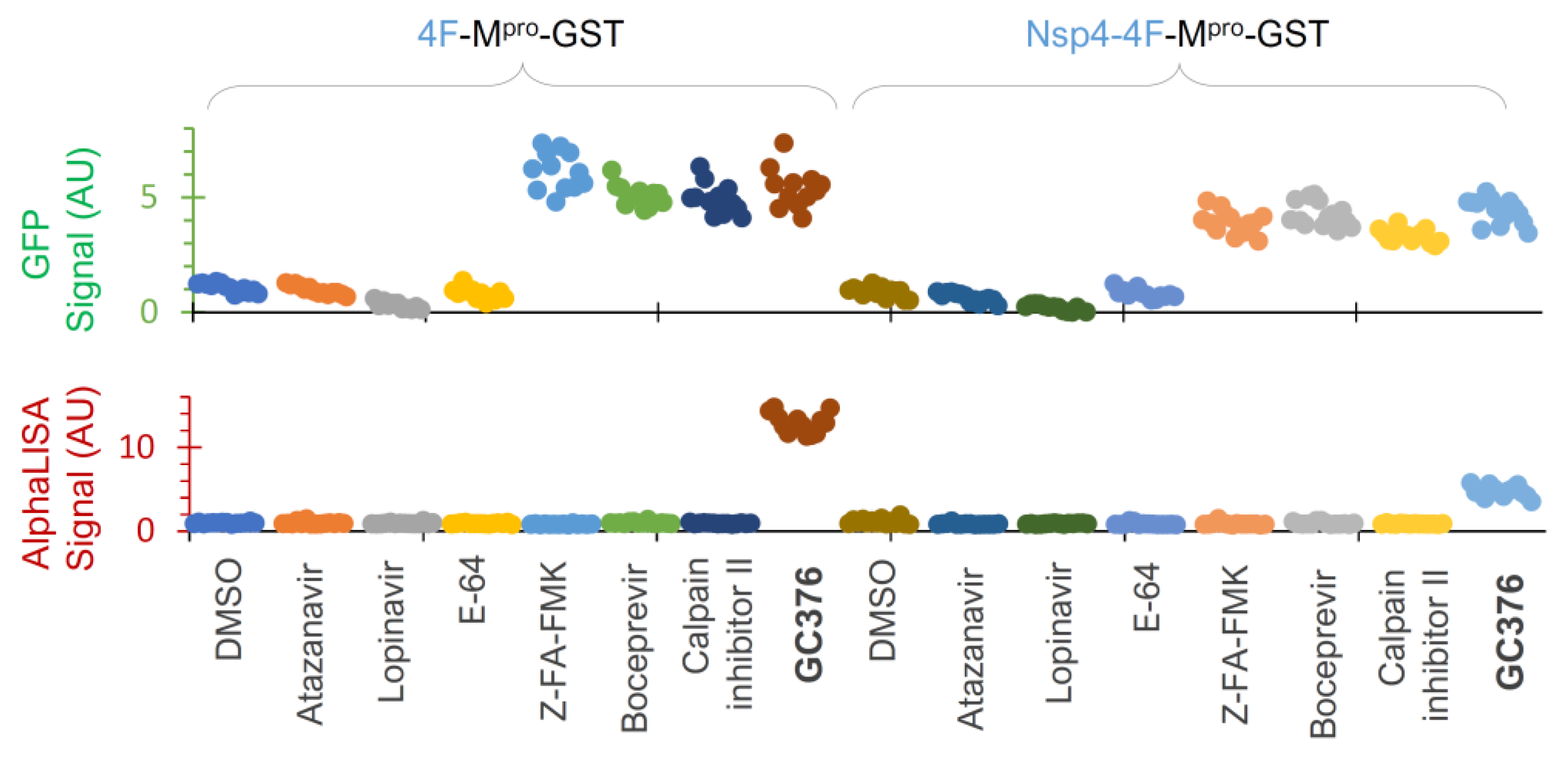 Viruses 16 01218 g007 Viruses 16 01218 g007