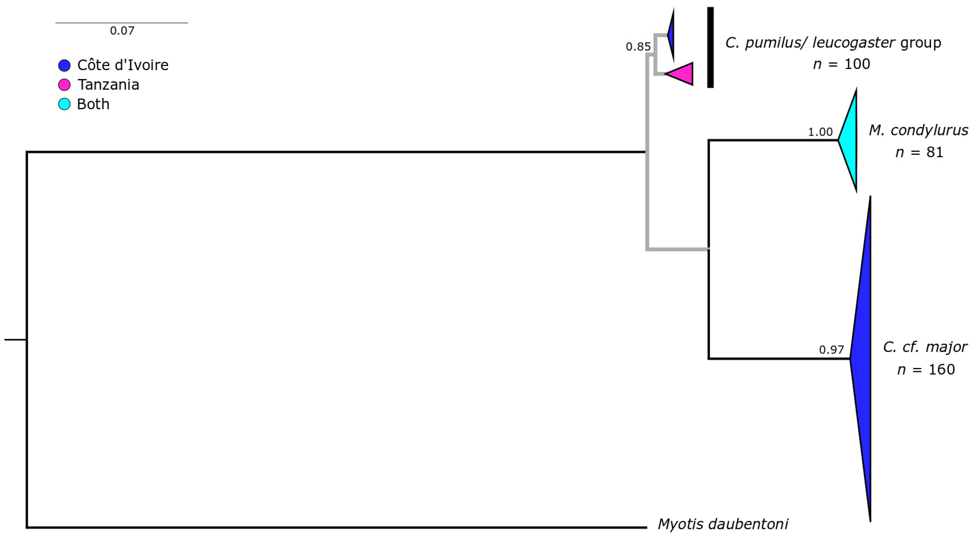 Viruses 16 01227 g0a1