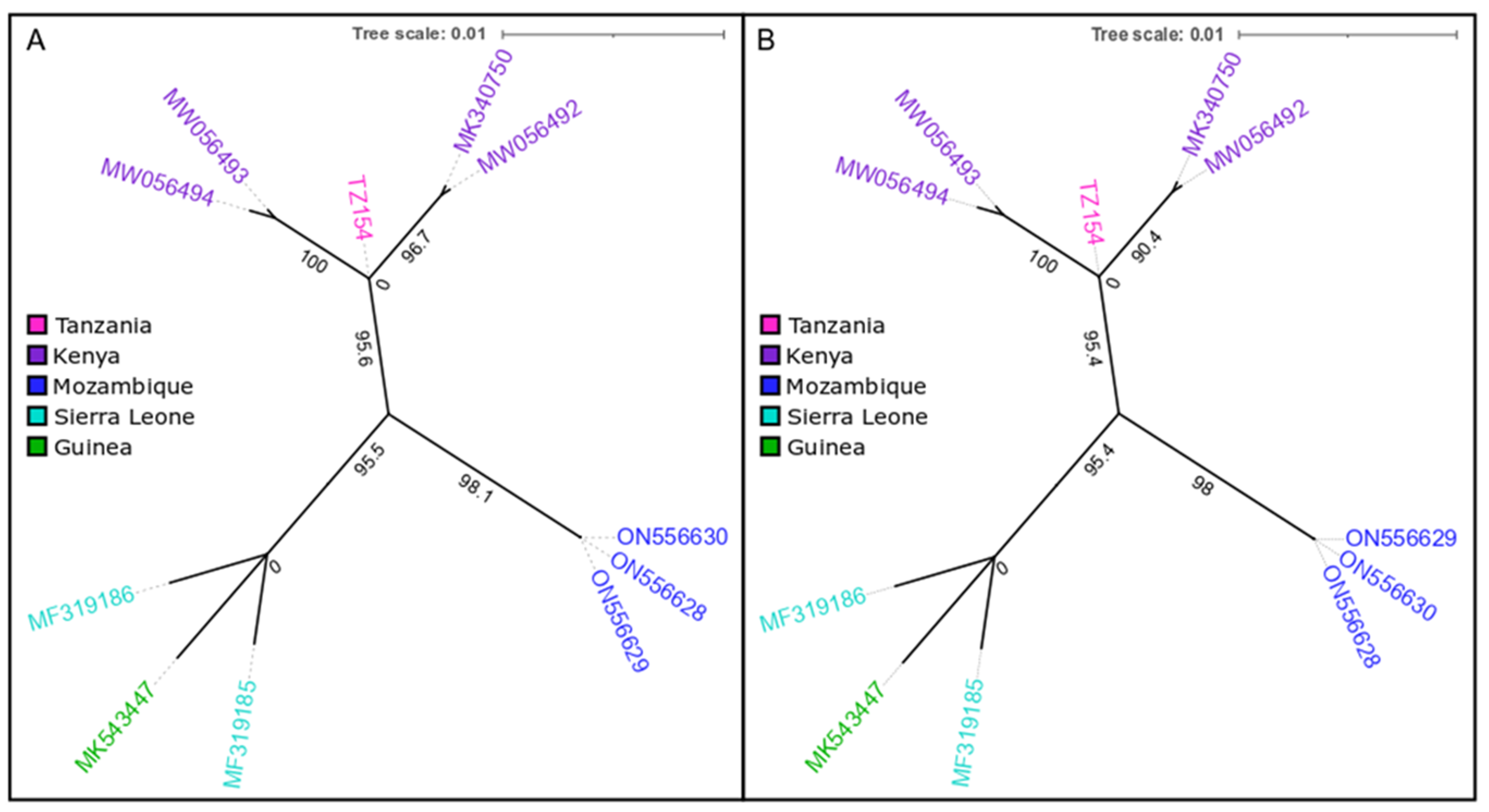 Viruses 16 01227 g0a3