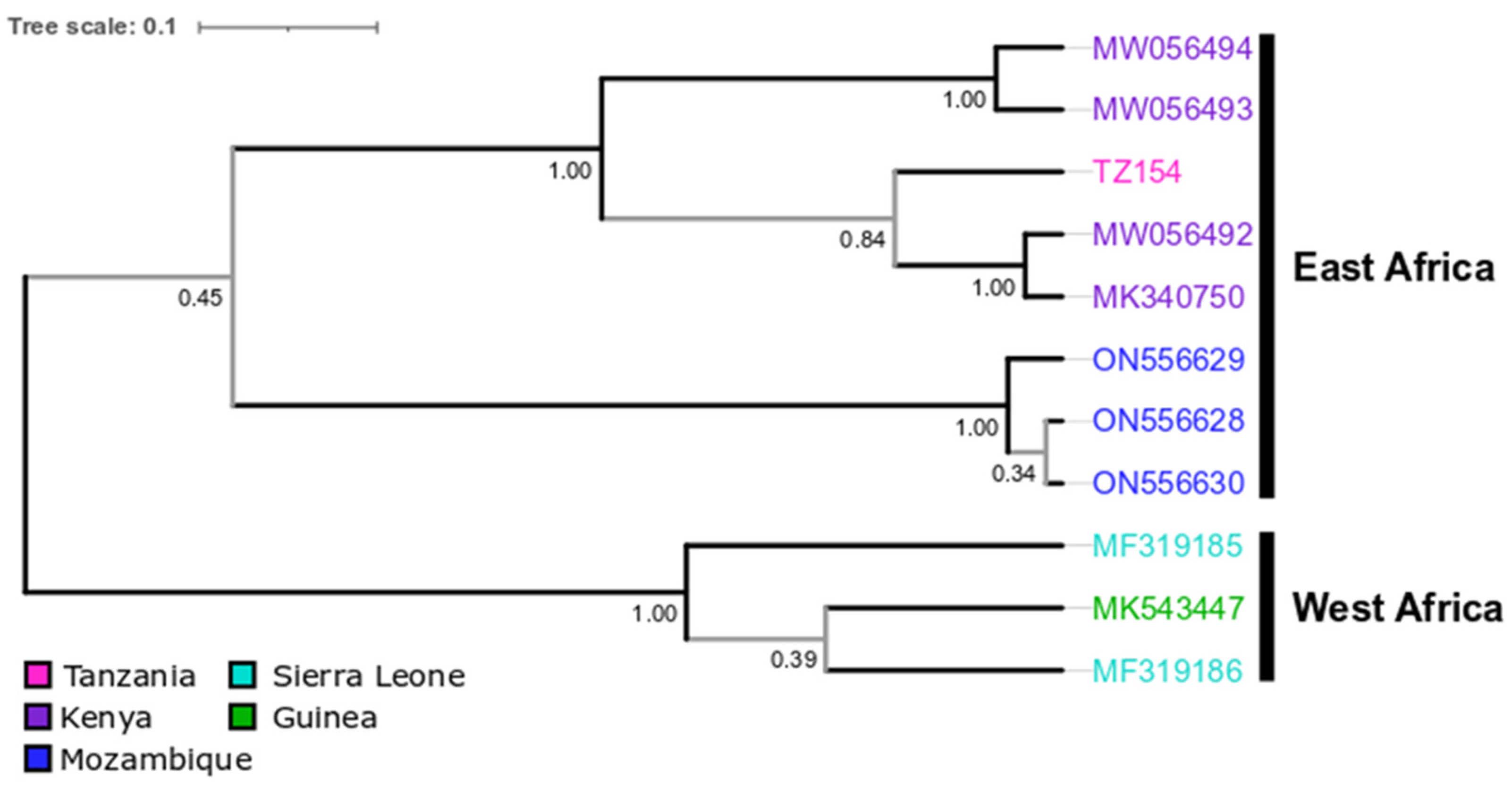 Viruses 16 01227 g0a5