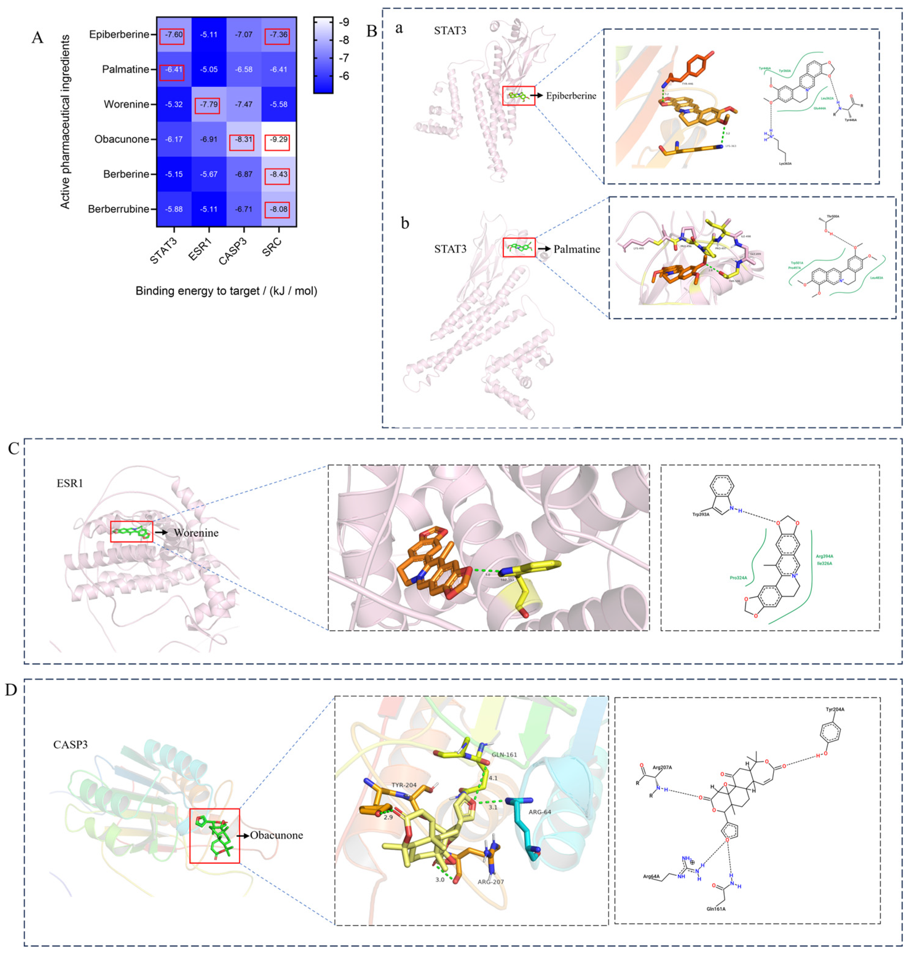 Viruses 16 01229 g005a