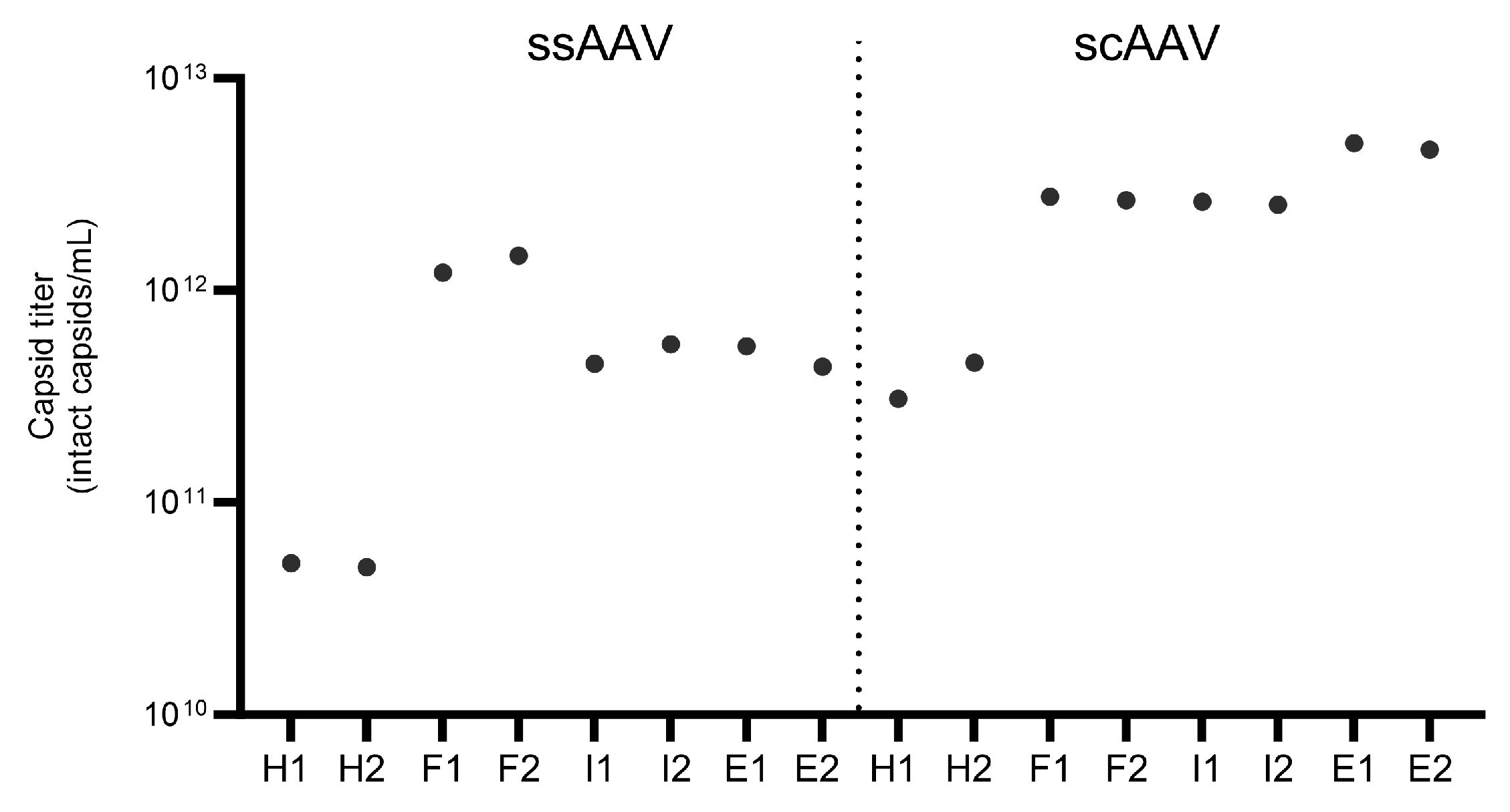 Viruses 16 01235 g005