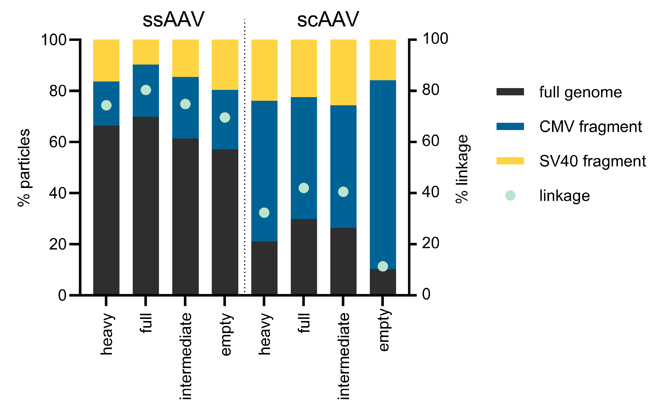 Viruses 16 01235 g007
