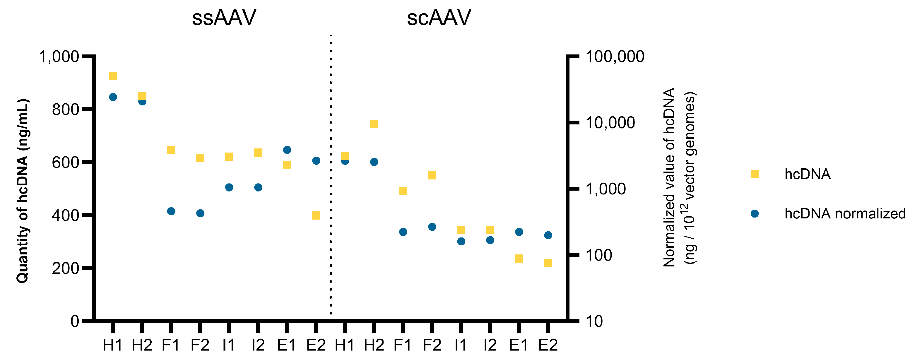 Viruses 16 01235 g010