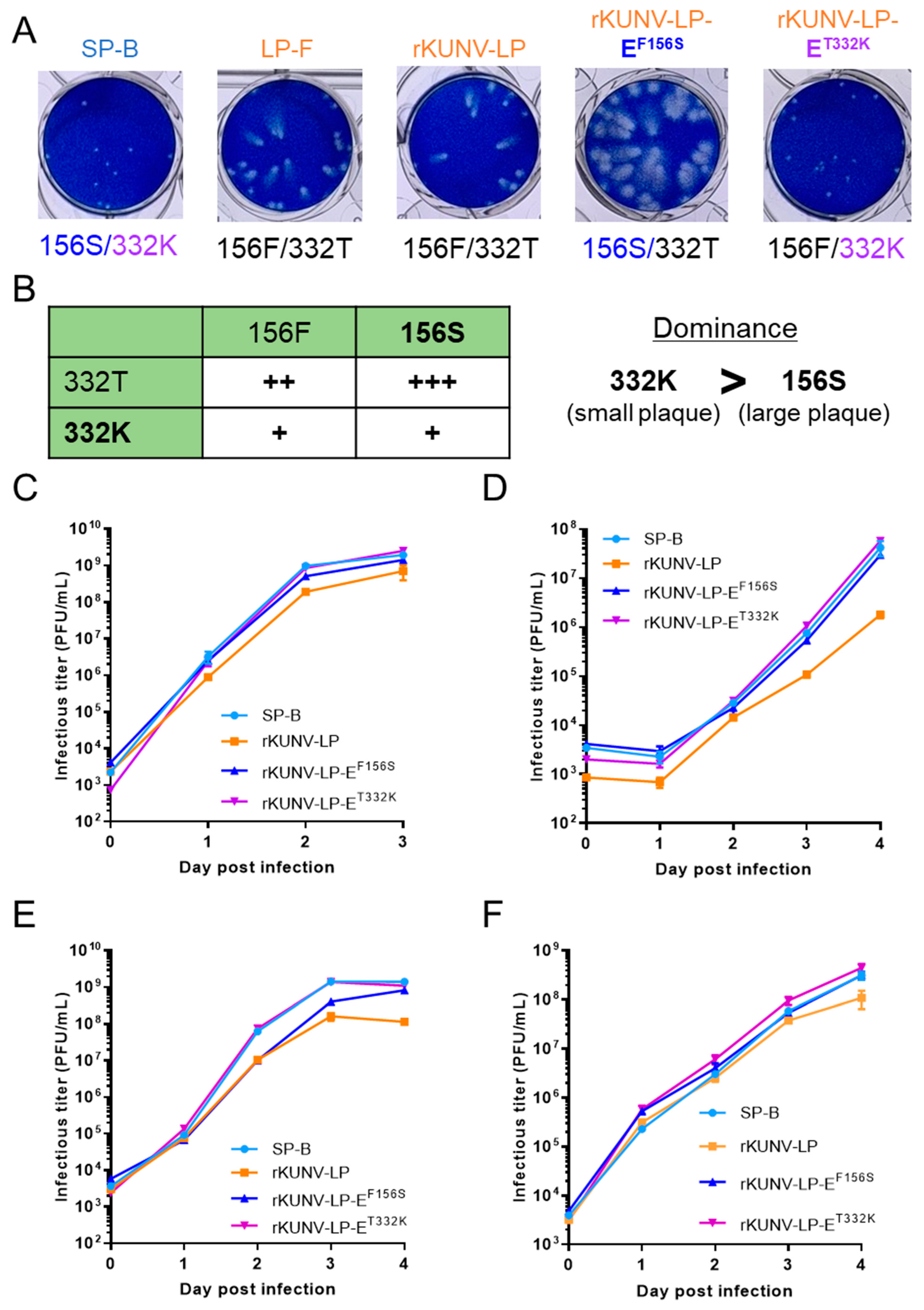 Viruses 16 01237 g004