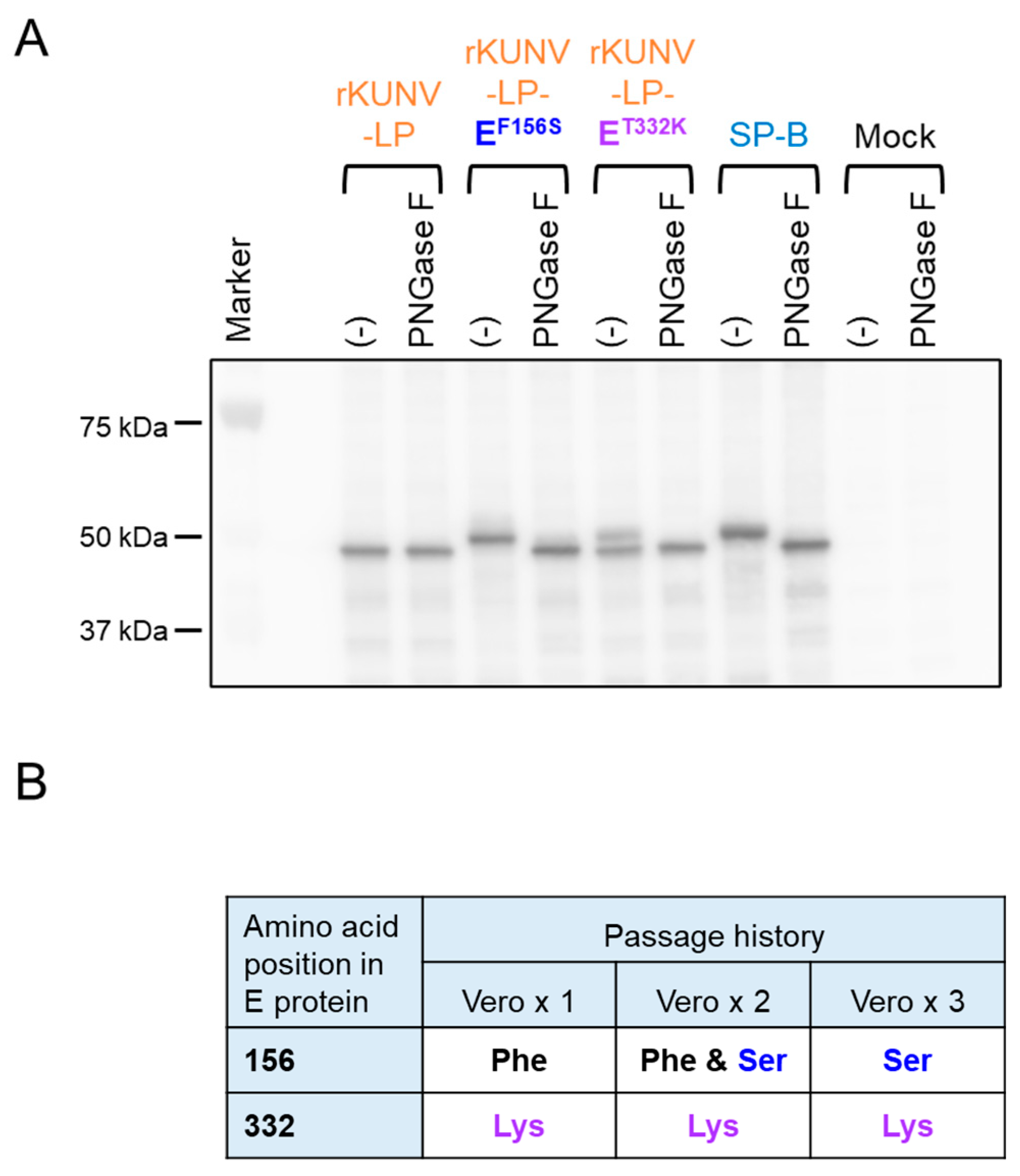Viruses 16 01237 g007