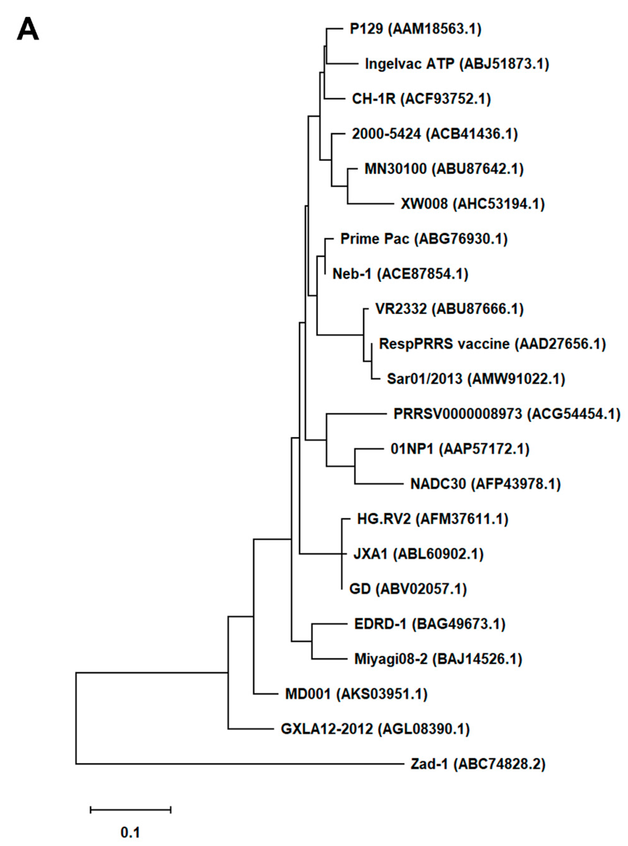 Viruses 16 01240 g001a
