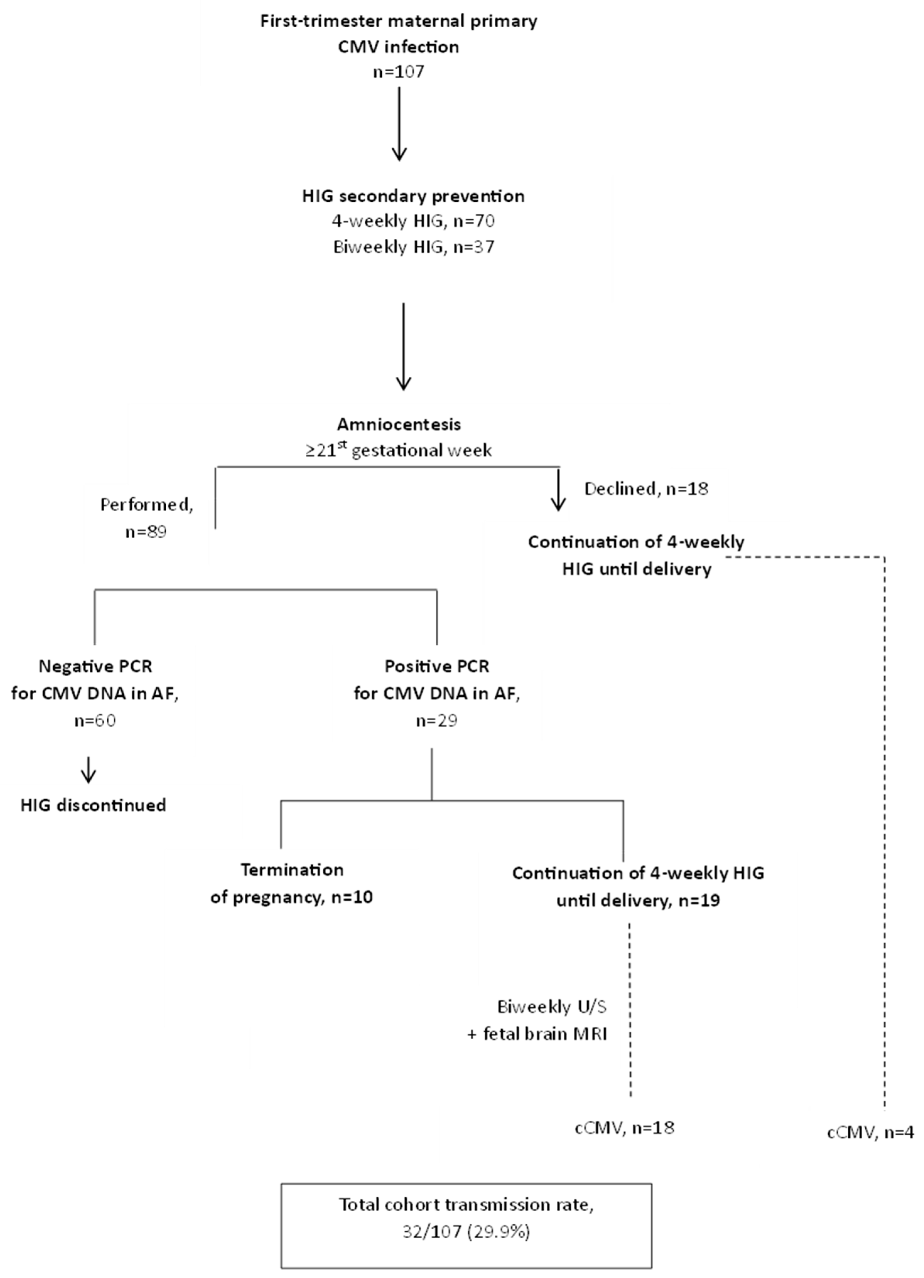 Viruses 16 01241 g001