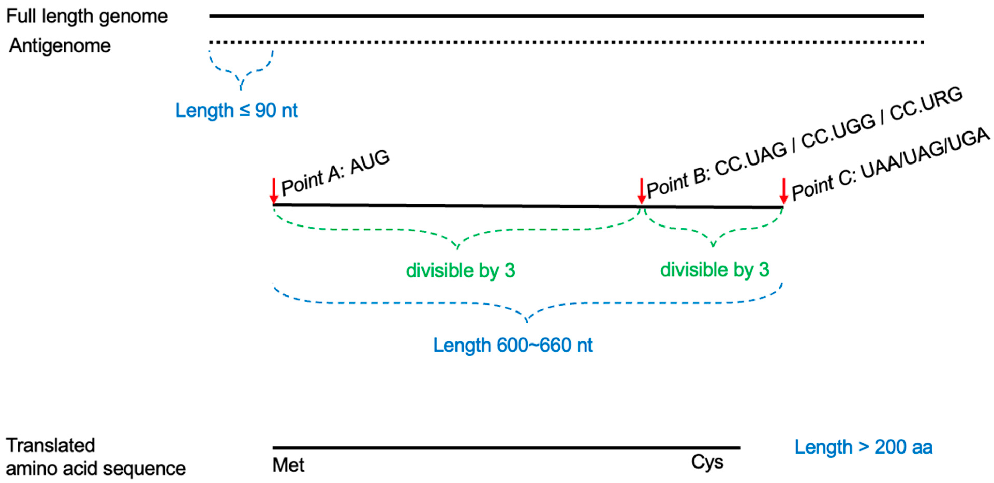 Viruses 16 01254 g001
