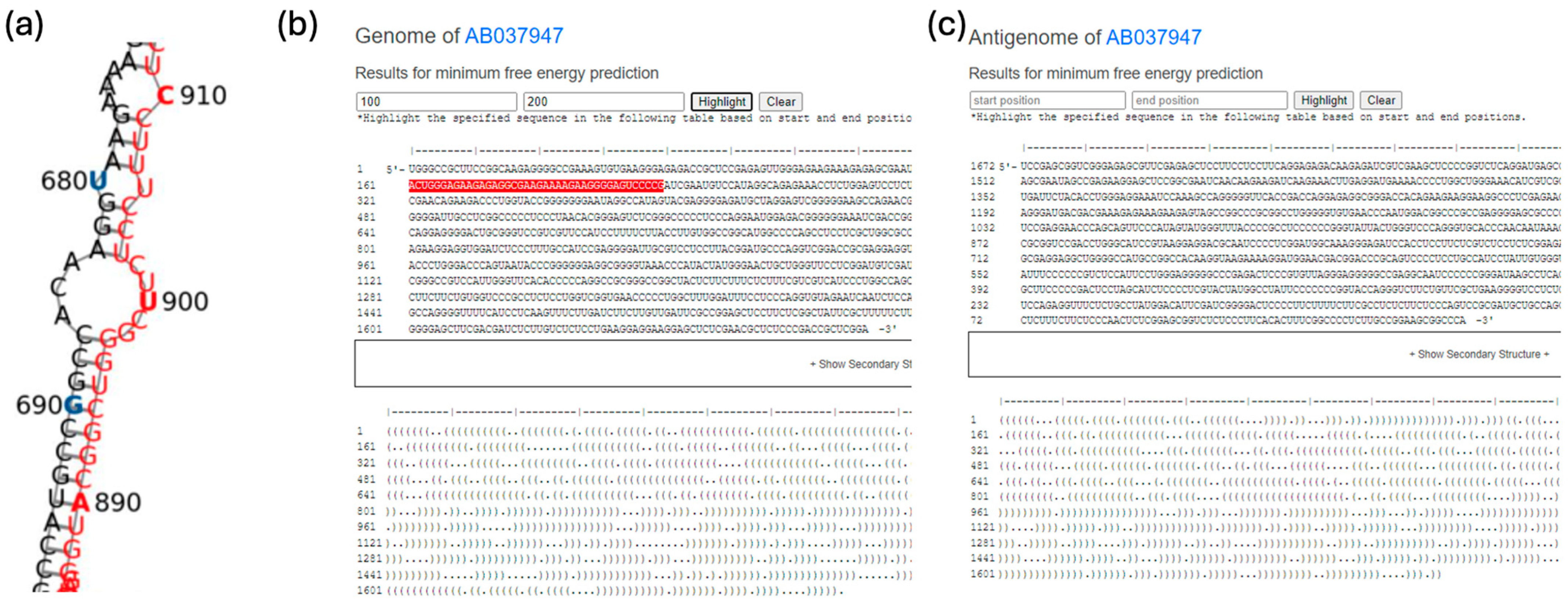 Viruses 16 01254 g003