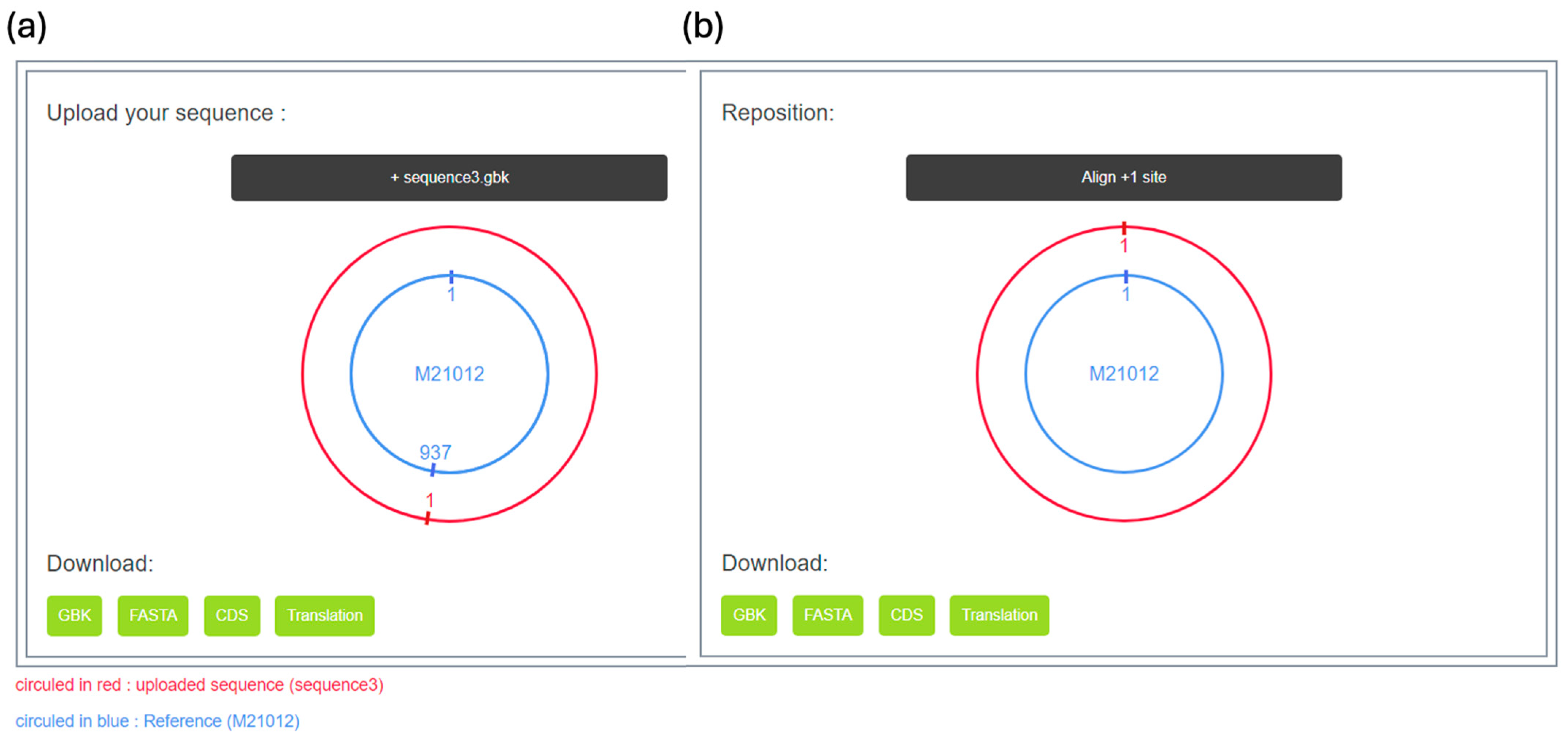 Viruses 16 01254 g007