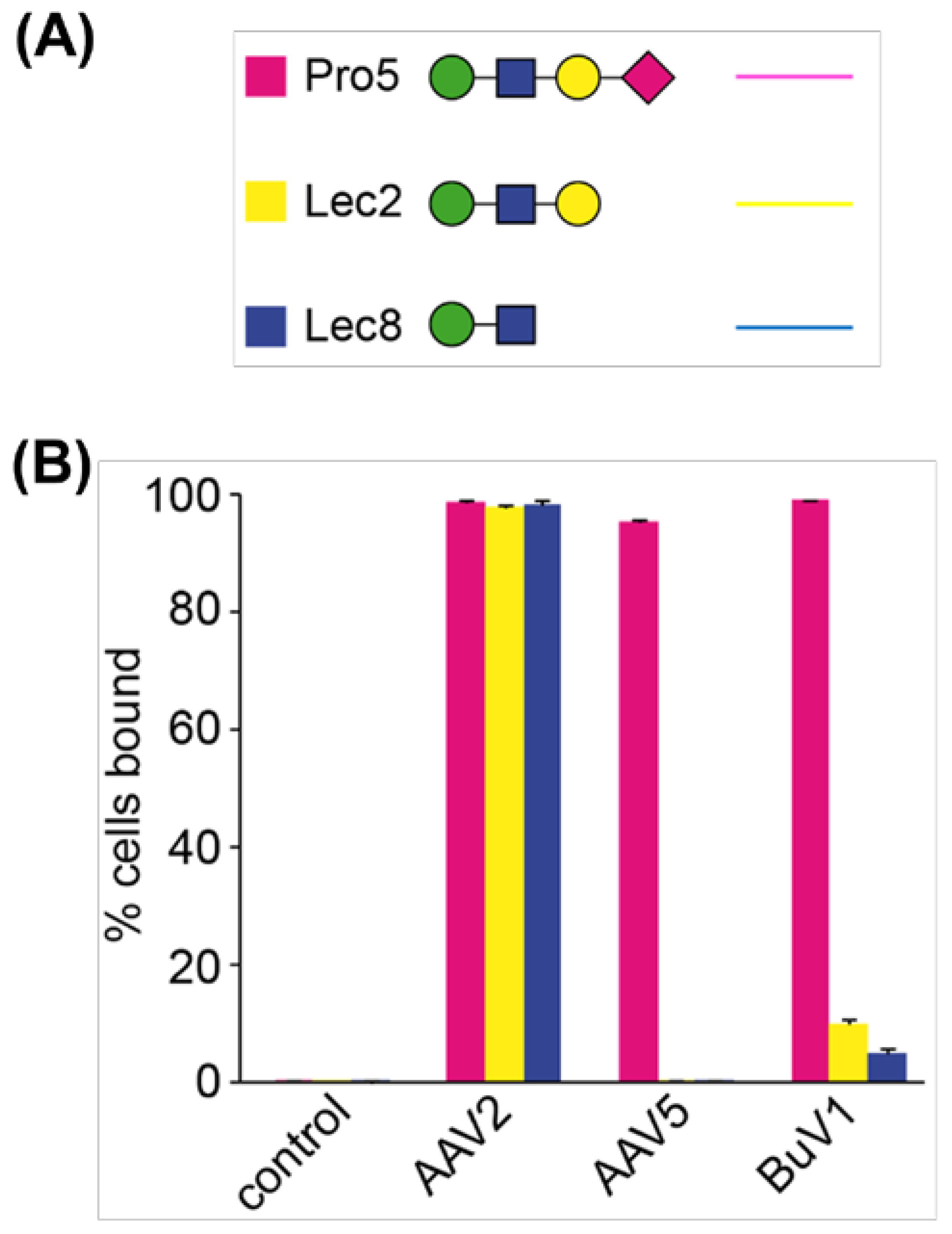 Viruses 16 01258 g002 Viruses 16 01258 g002