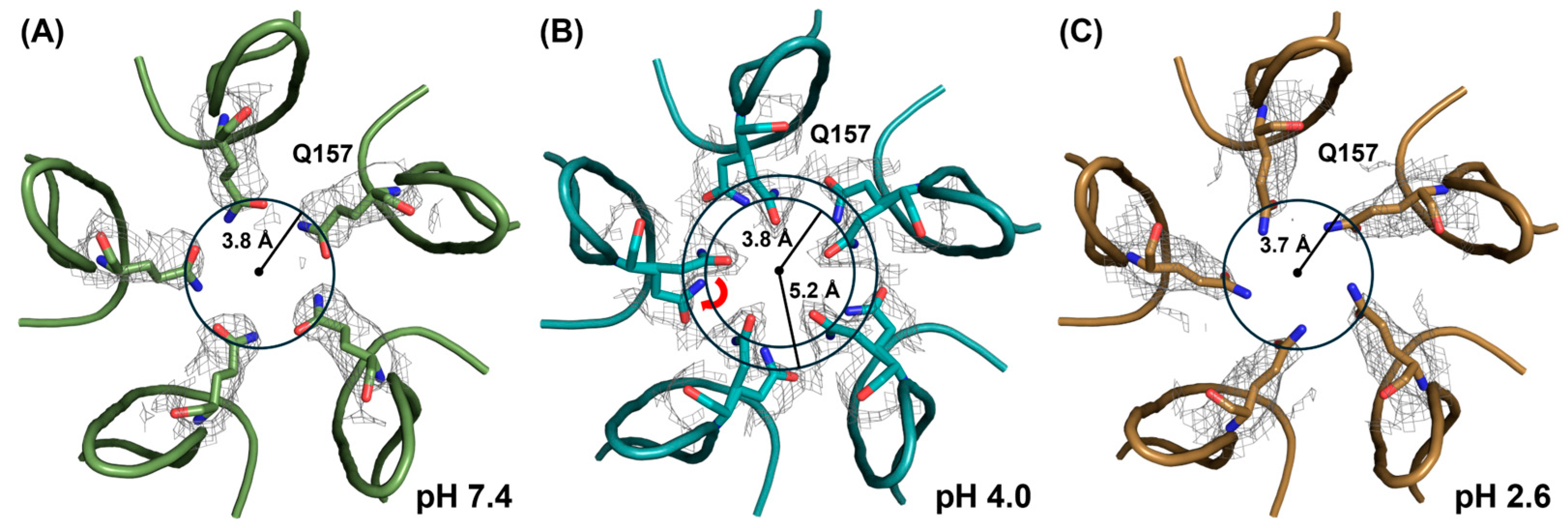 Viruses 16 01258 g007 Viruses 16 01258 g007