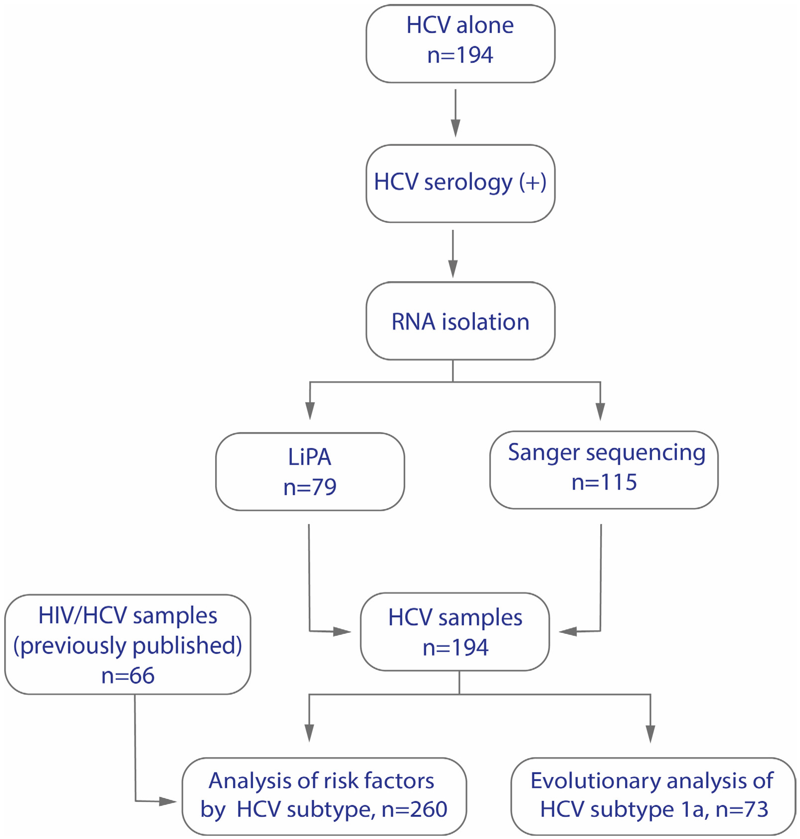 Viruses 16 01259 g001
