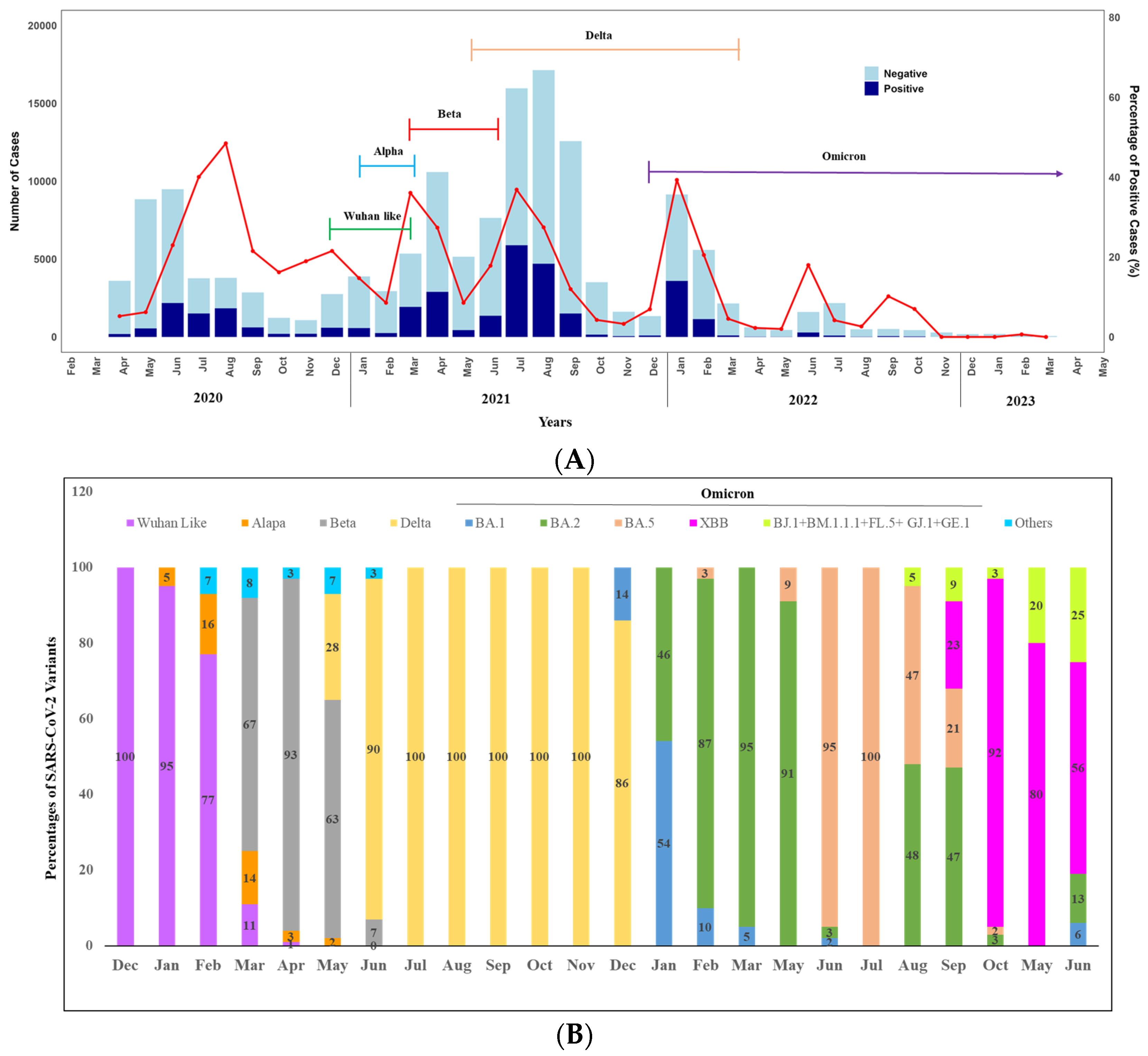Viruses 16 01263 g003