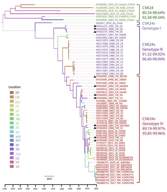 Phylodynamic and Epistatic Analysis of Coxsackievirus A24