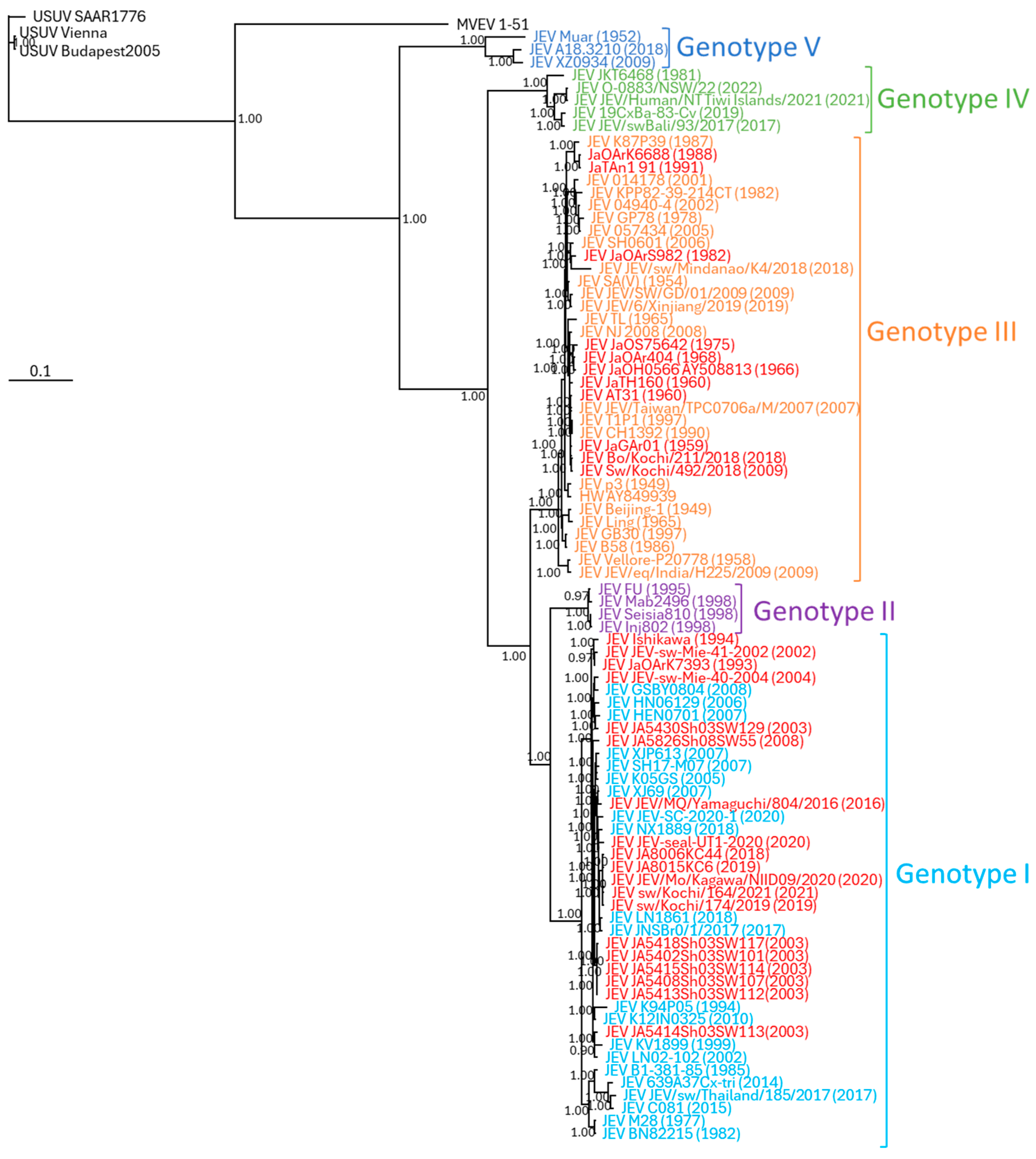 Viruses 16 01273 g003