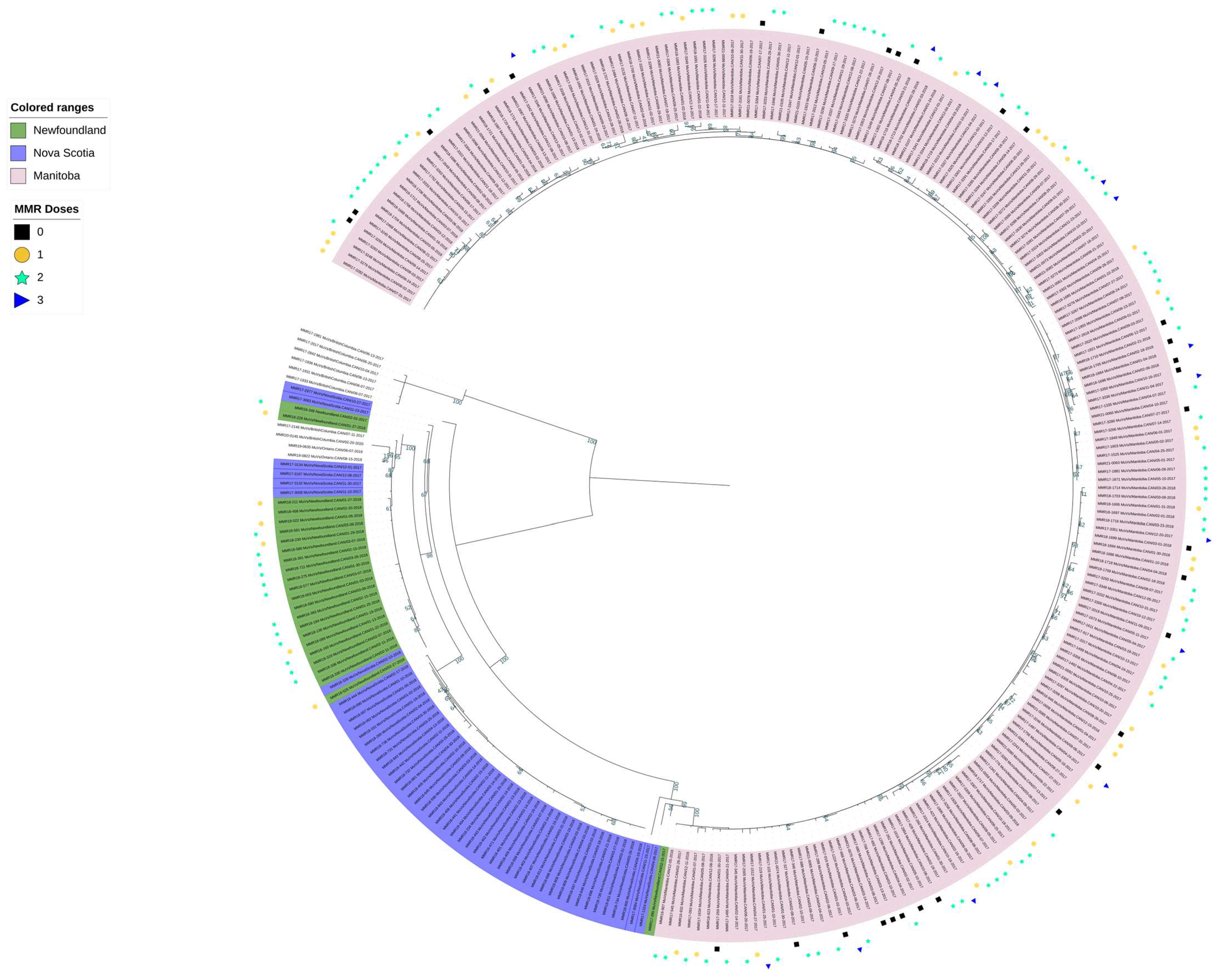 Viruses 16 01280 g003