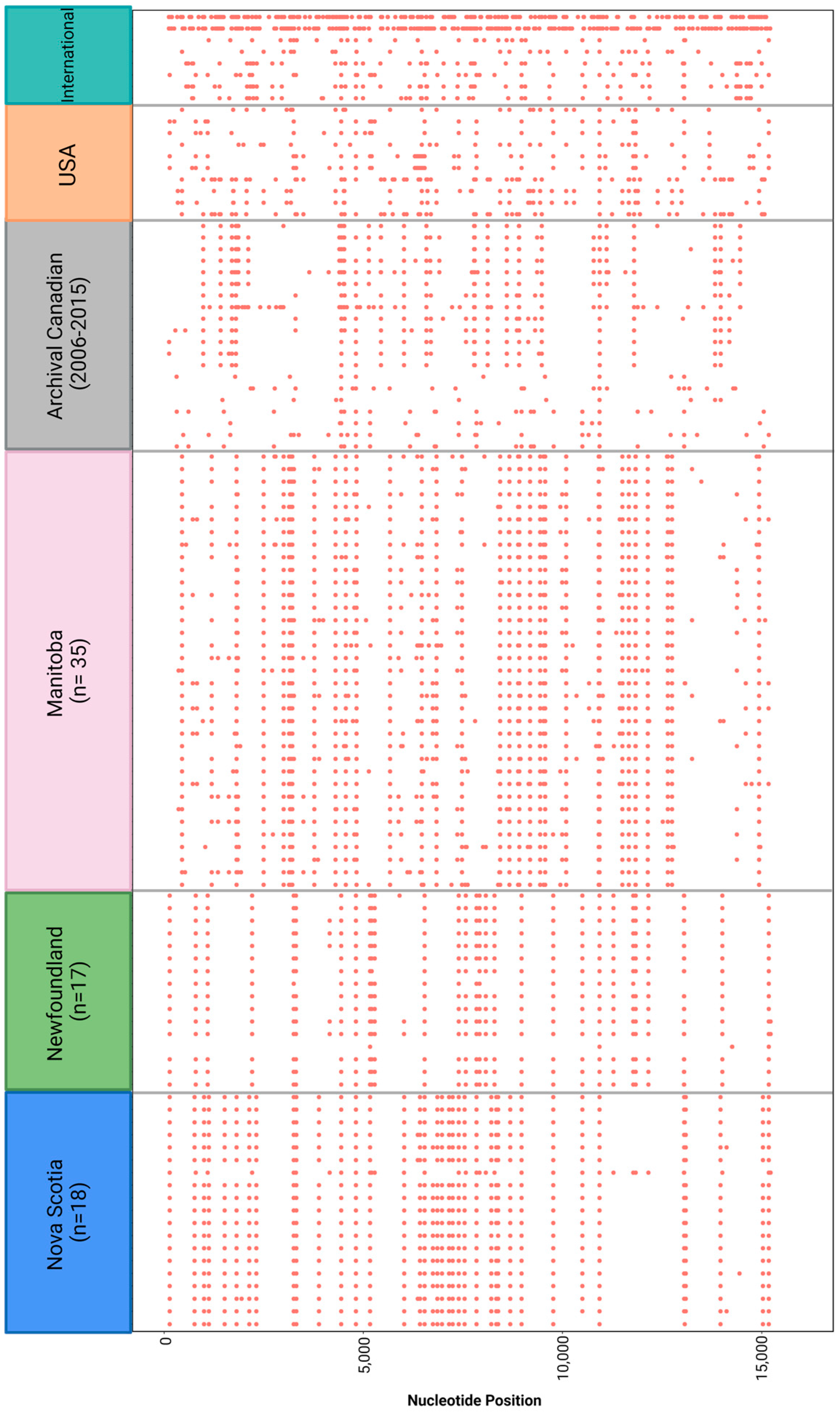 Viruses 16 01280 g005