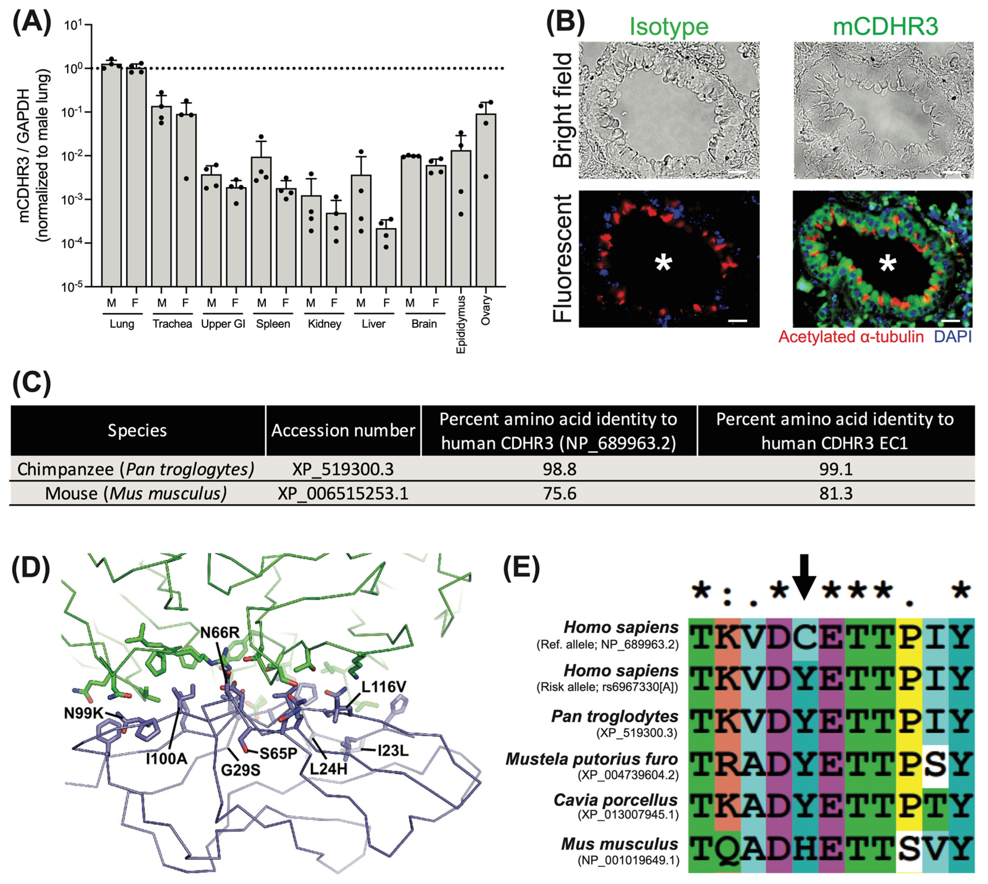 Viruses 16 01282 g001 Viruses 16 01282 g001