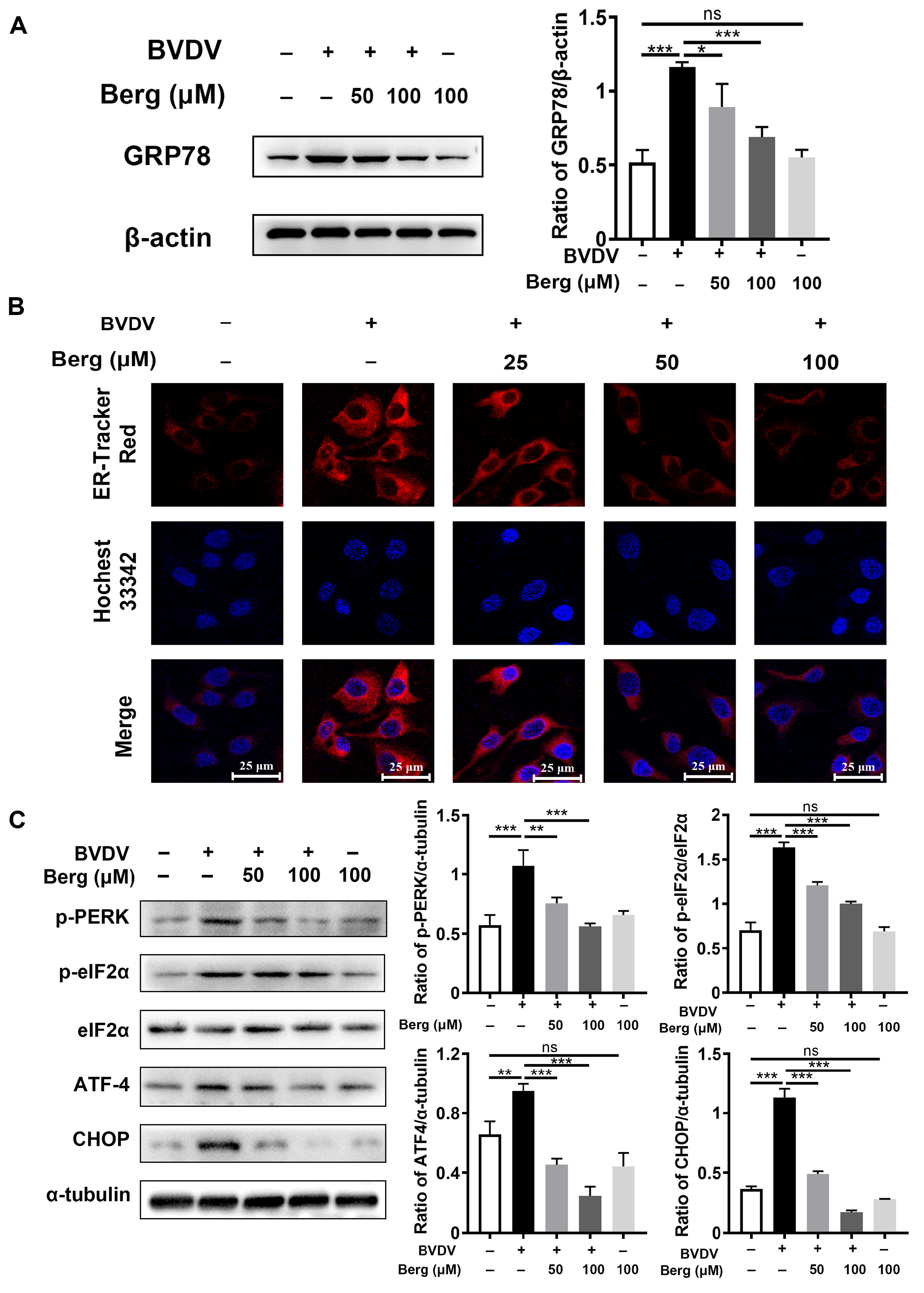 Viruses 16 01287 g003