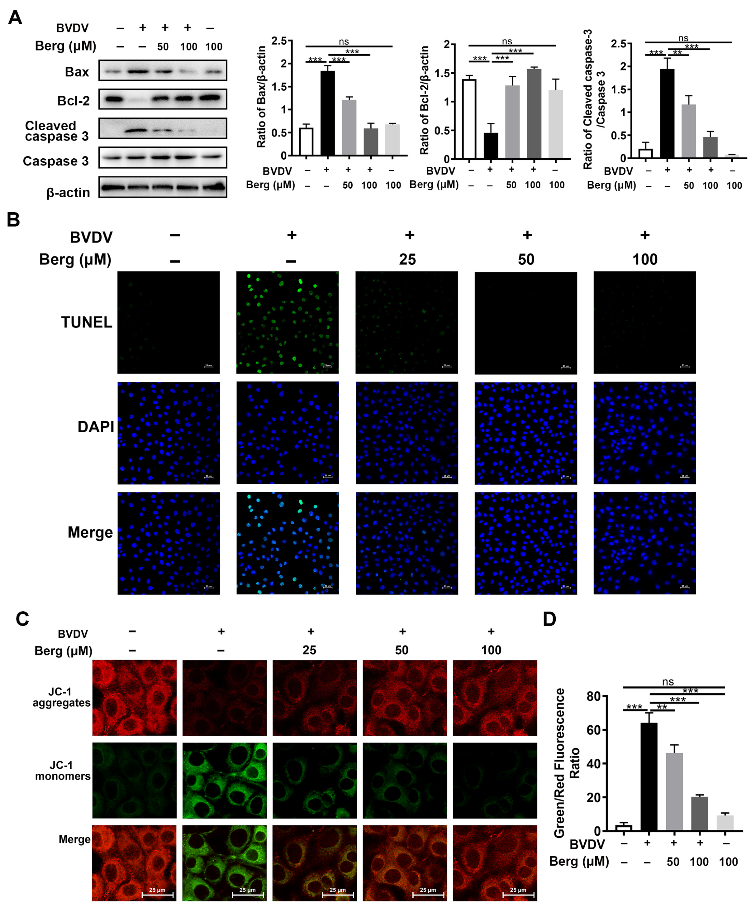 Viruses 16 01287 g004