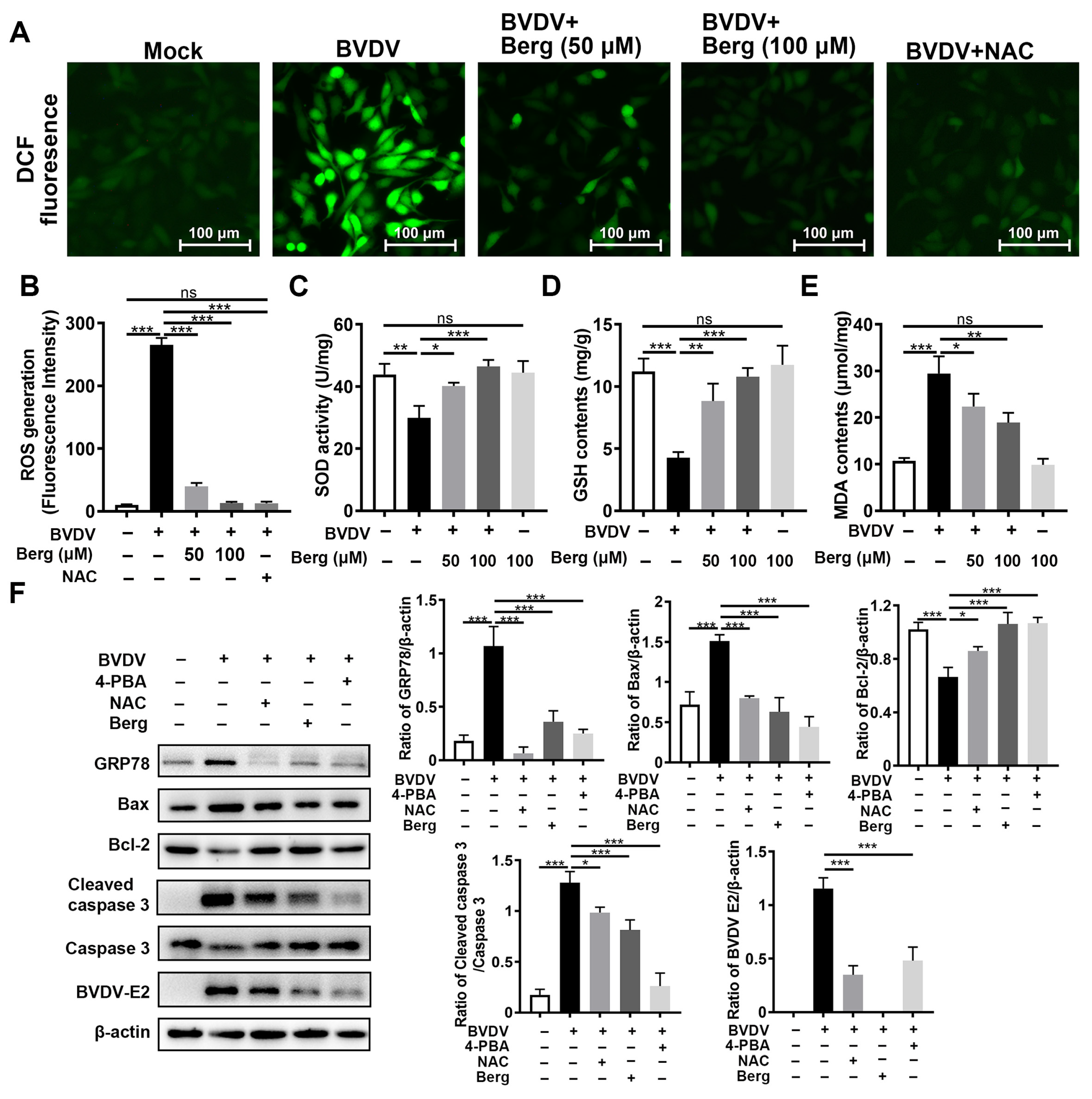 Viruses 16 01287 g006