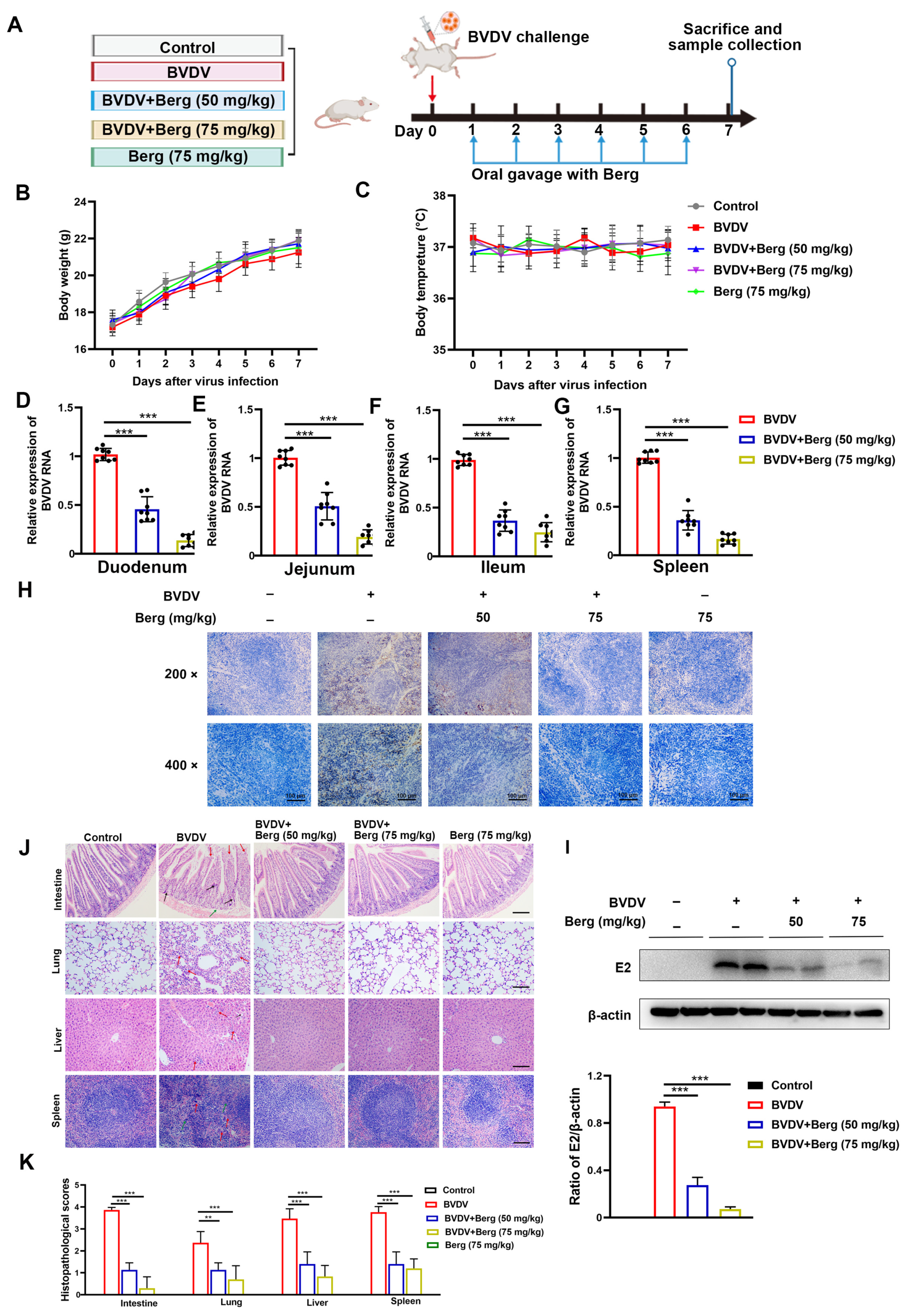 Viruses 16 01287 g007