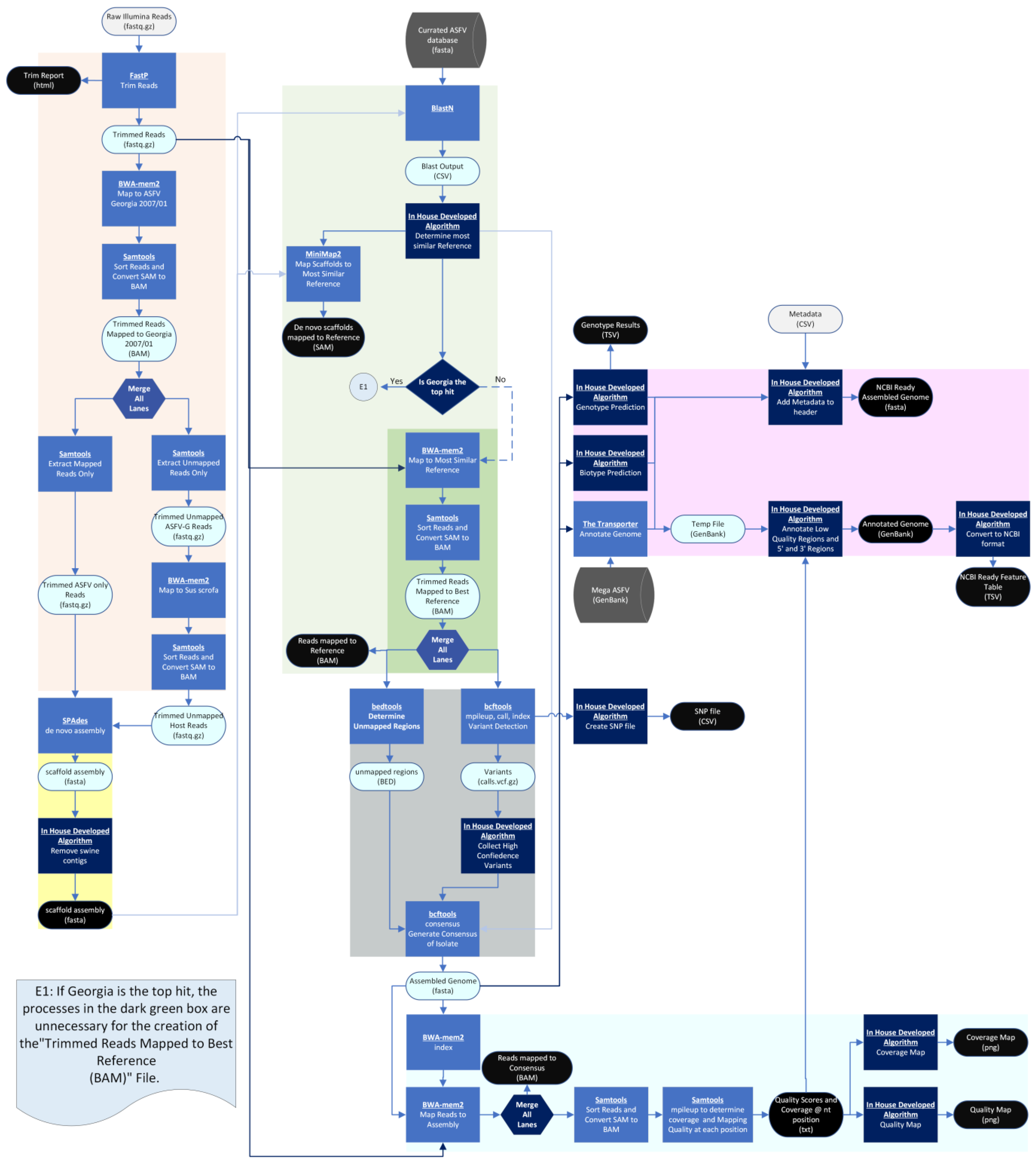 Viruses 16 01293 g001