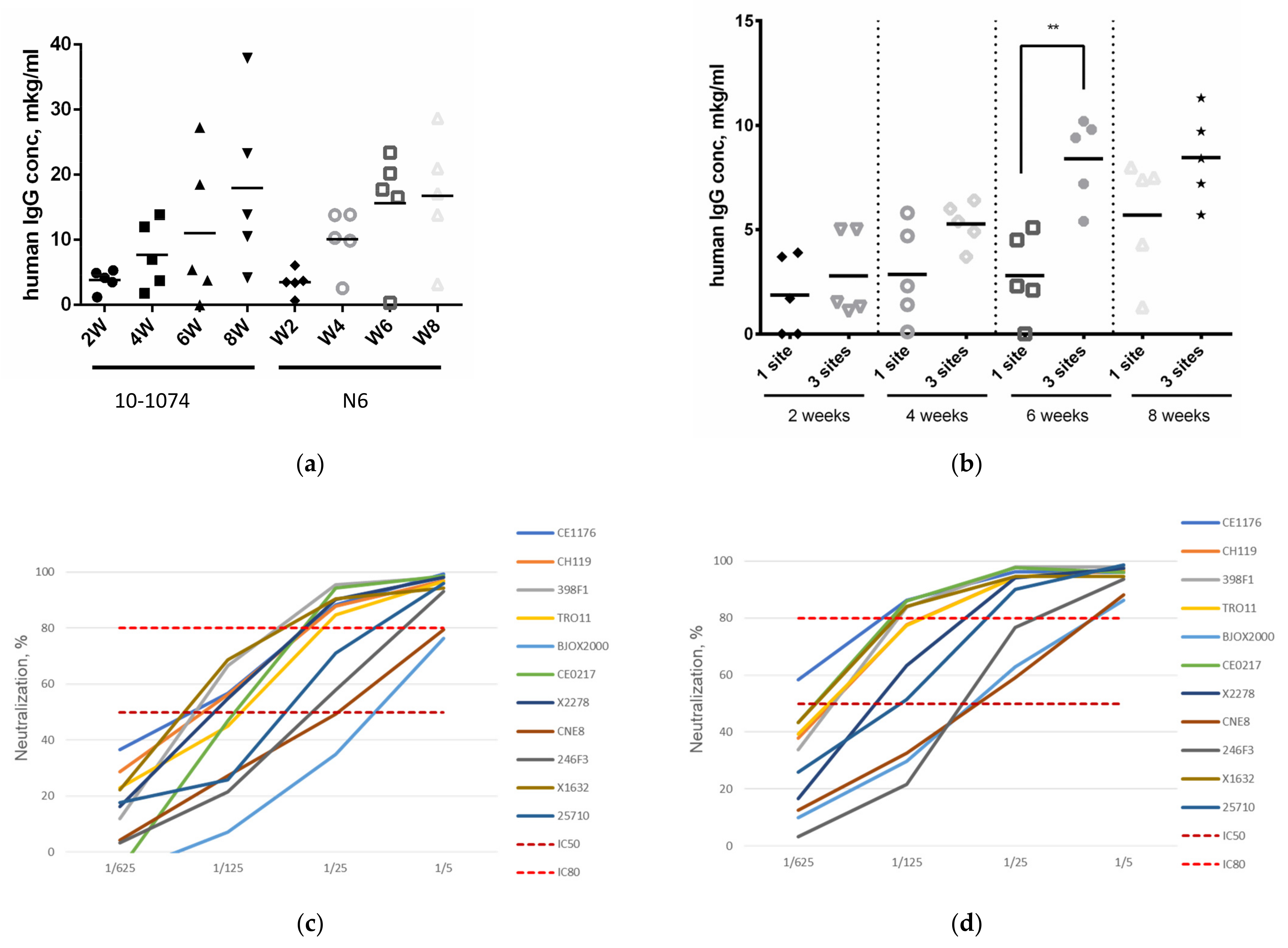 Viruses 16 01296 g003