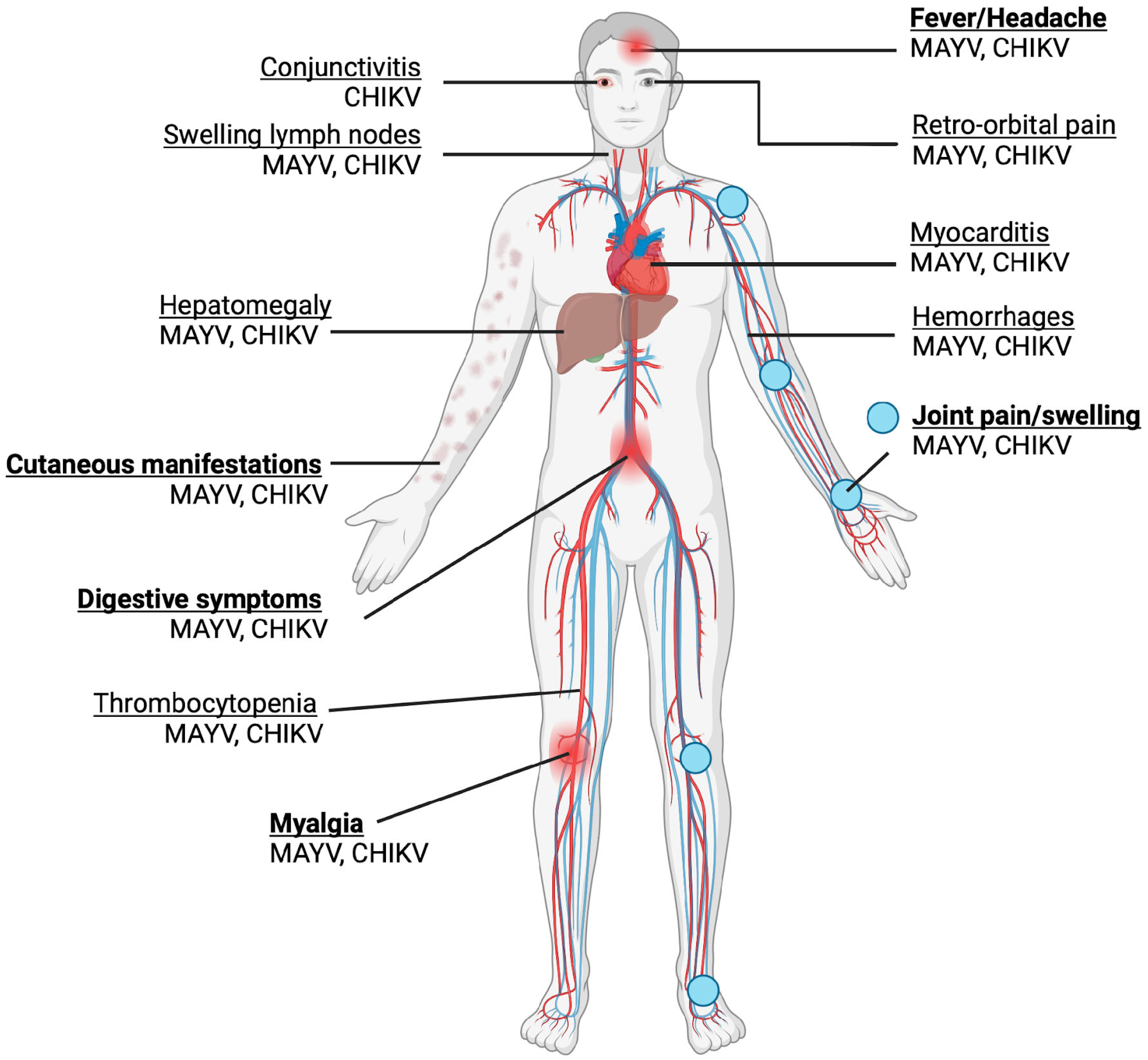 Viruses 16 01297 g003 Viruses 16 01297 g003