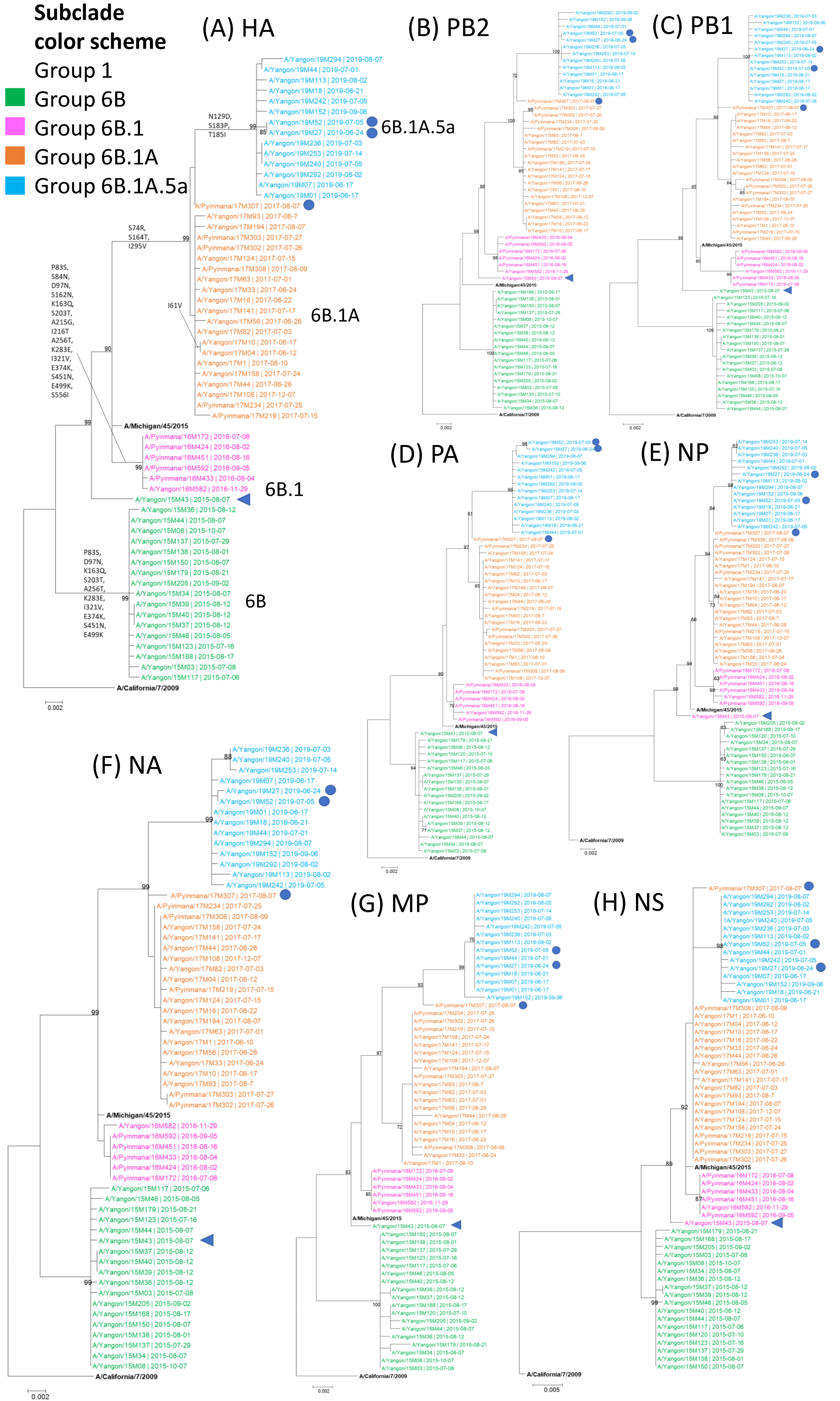 Viruses 16 01300 g001 Viruses 16 01300 g001