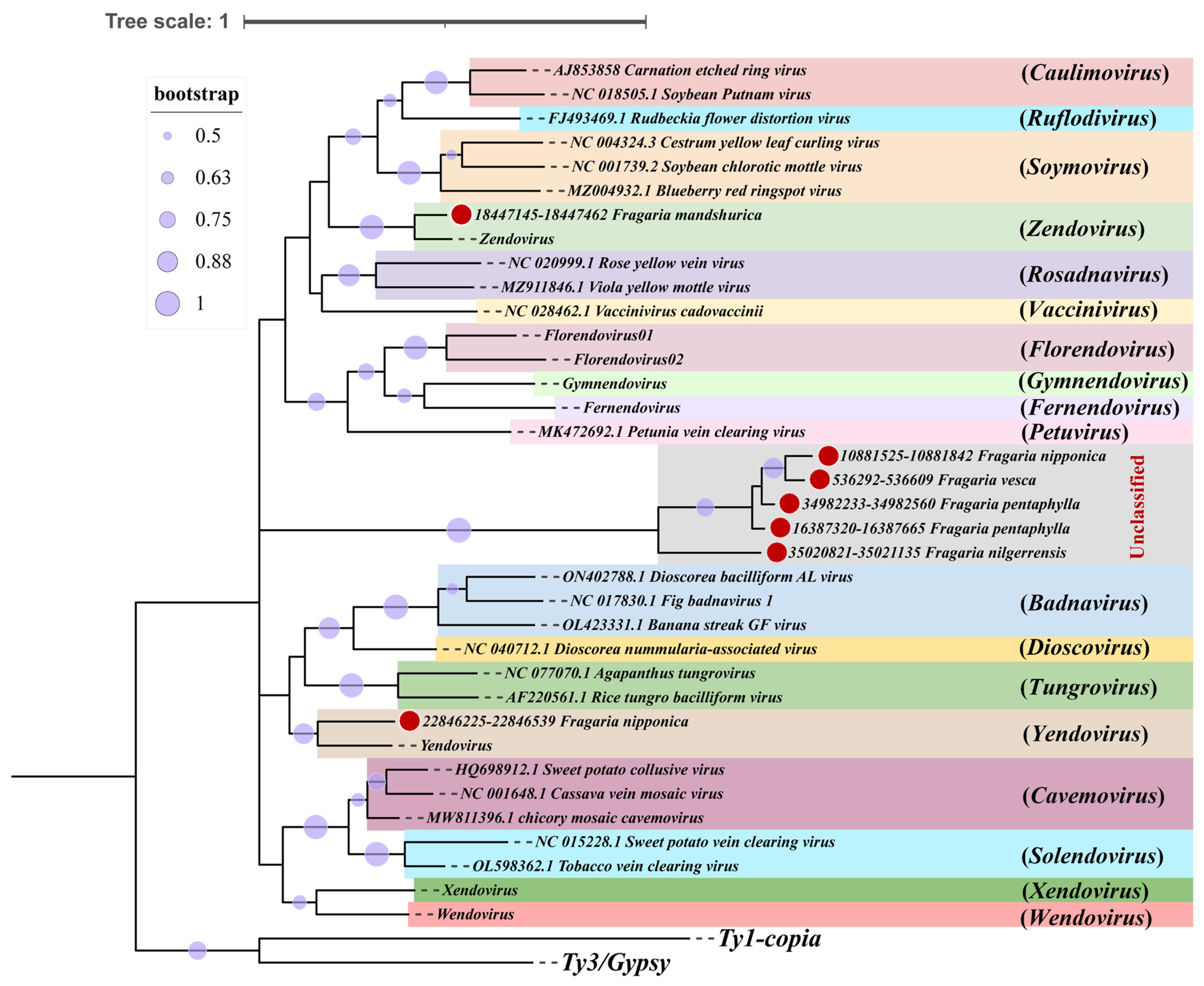 Viruses 16 01306 g005 Viruses 16 01306 g005