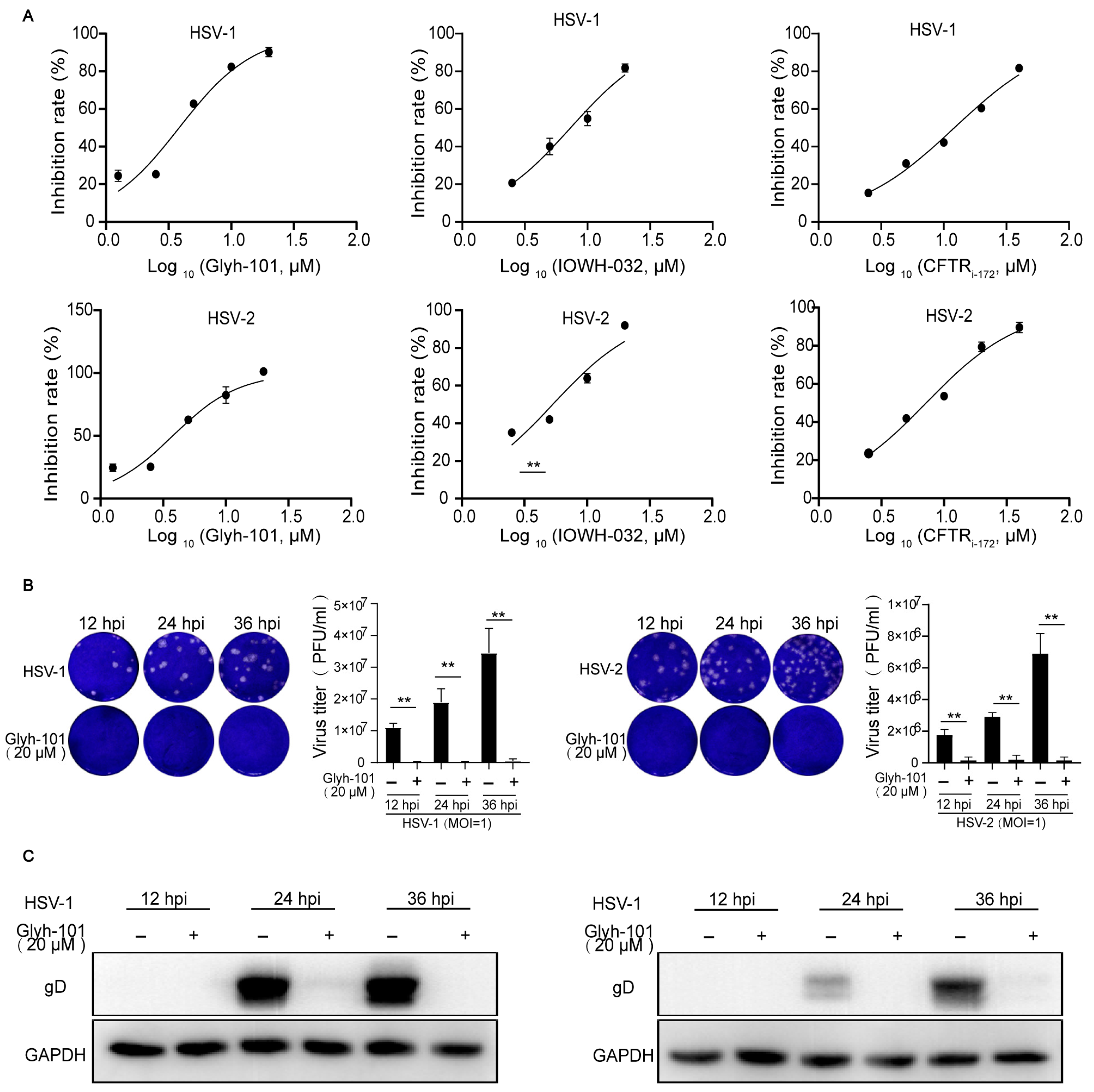 Viruses 16 01308 g001