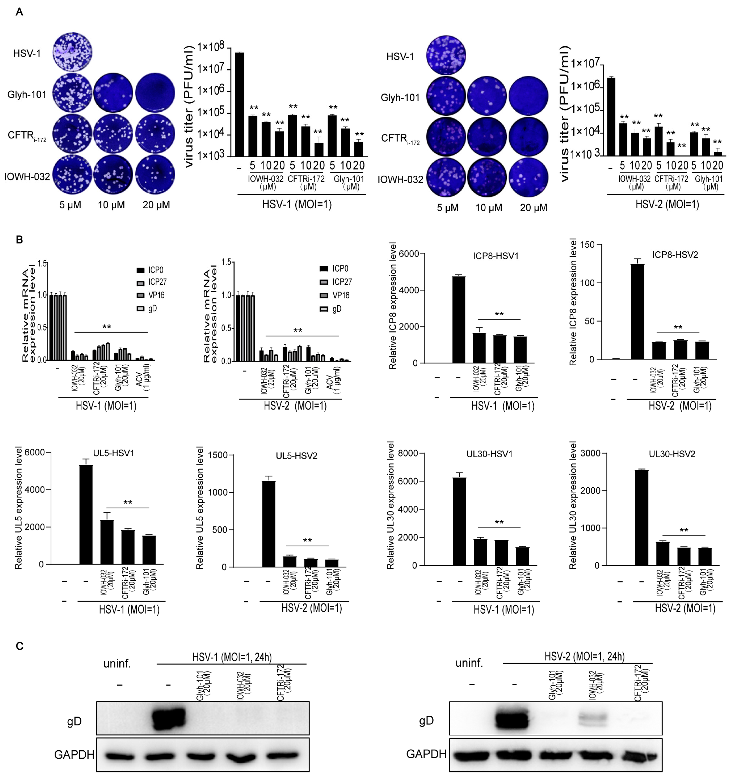 Viruses 16 01308 g002