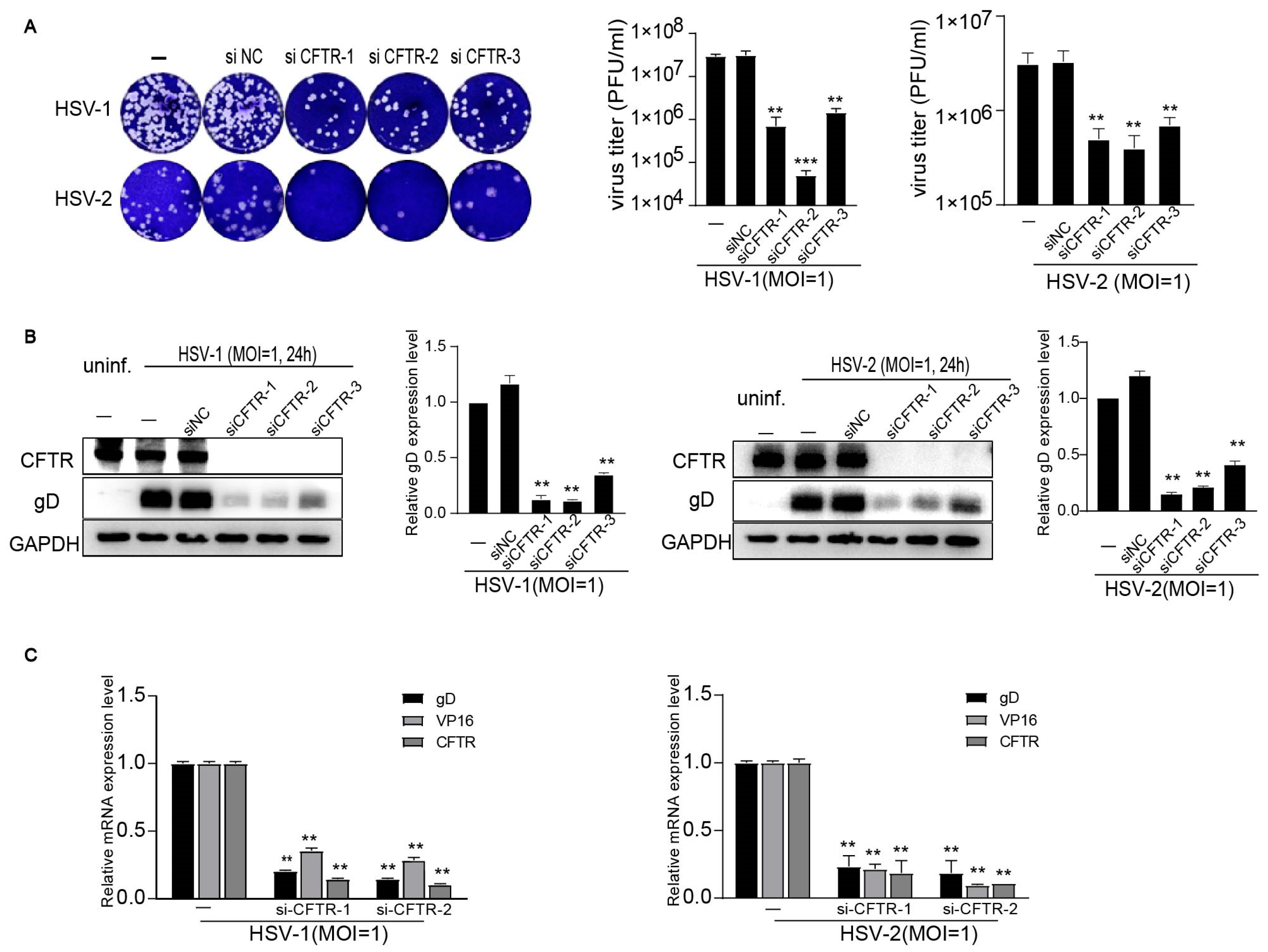 Viruses 16 01308 g003
