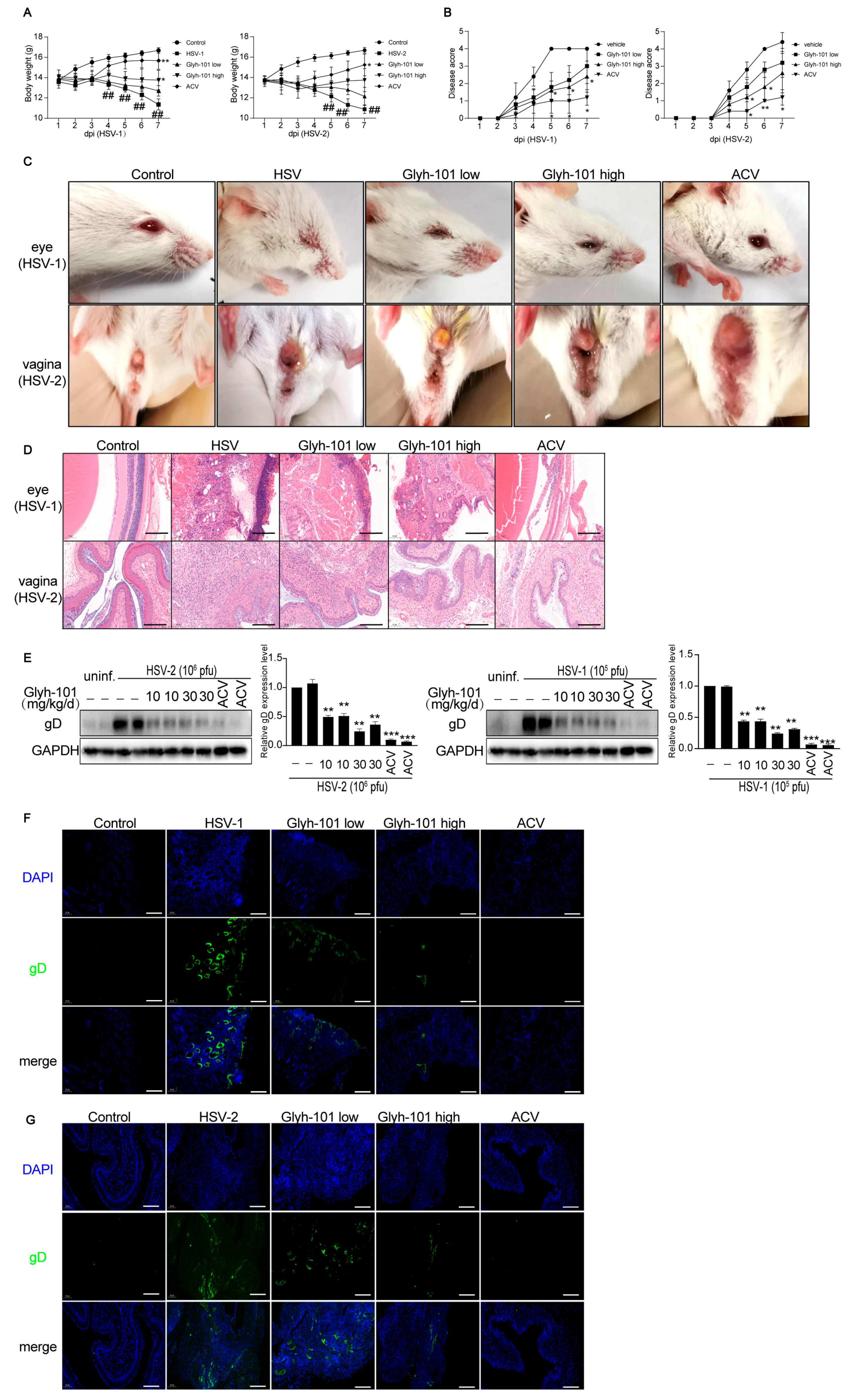 Viruses 16 01308 g004