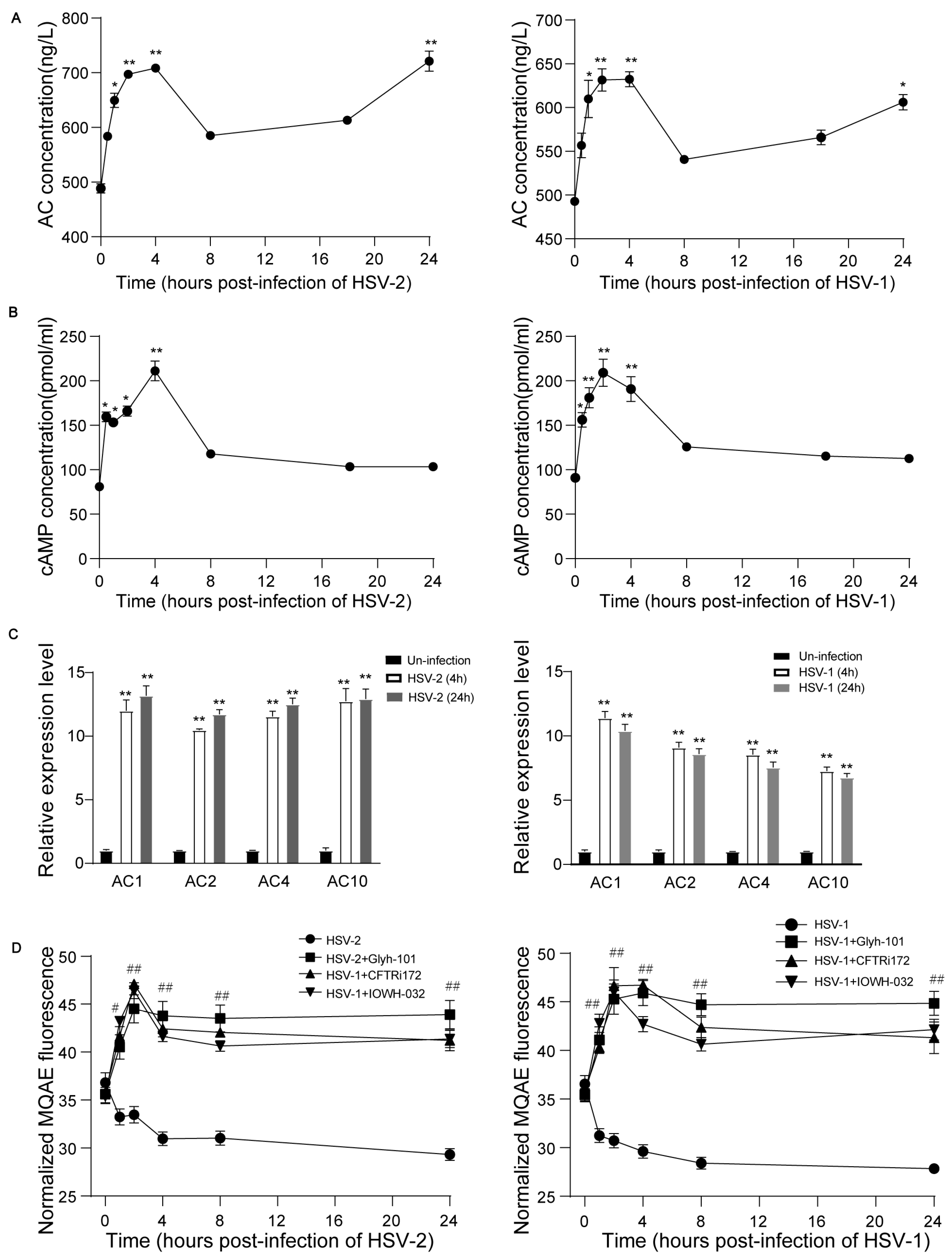 Viruses 16 01308 g005