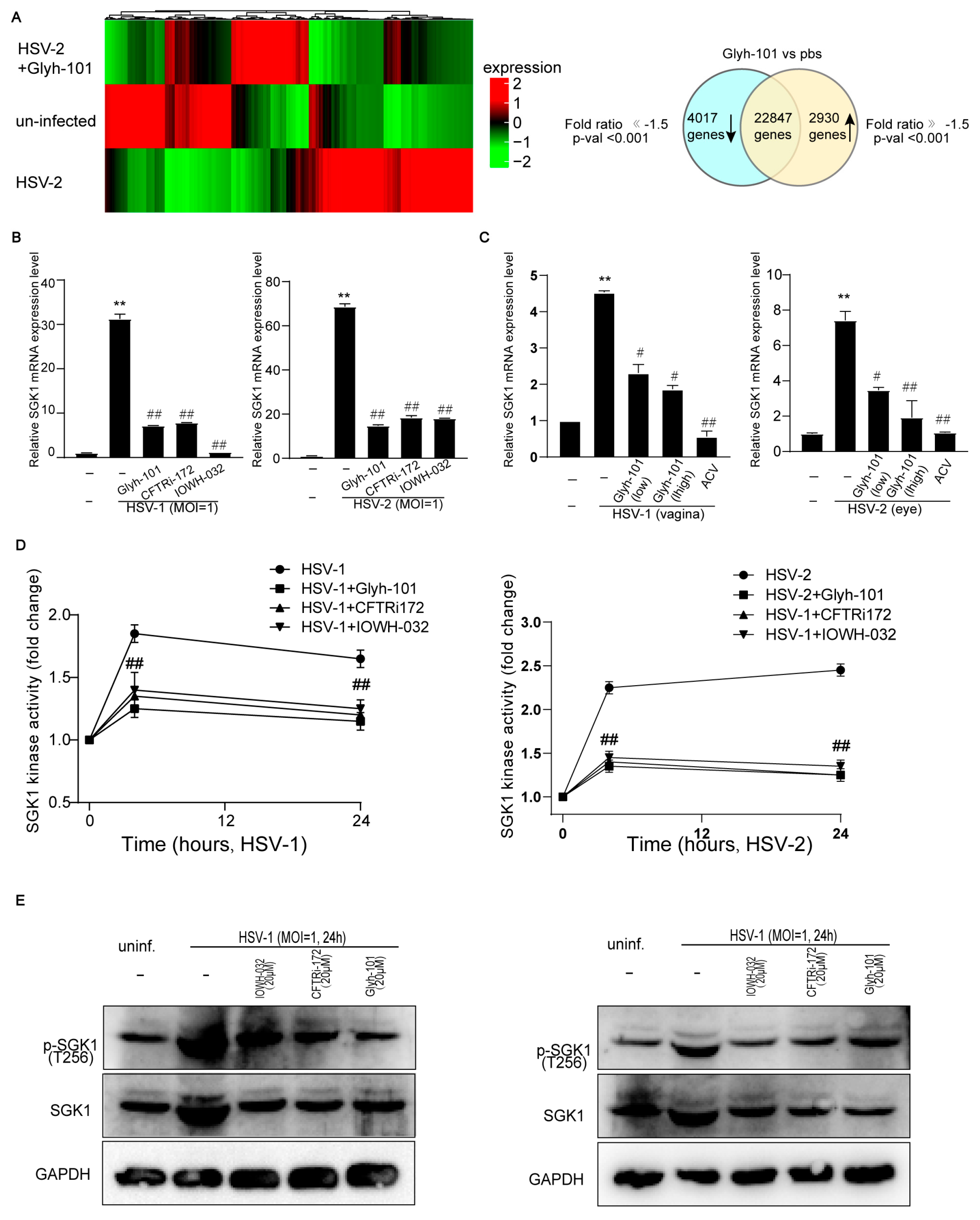 Viruses 16 01308 g006