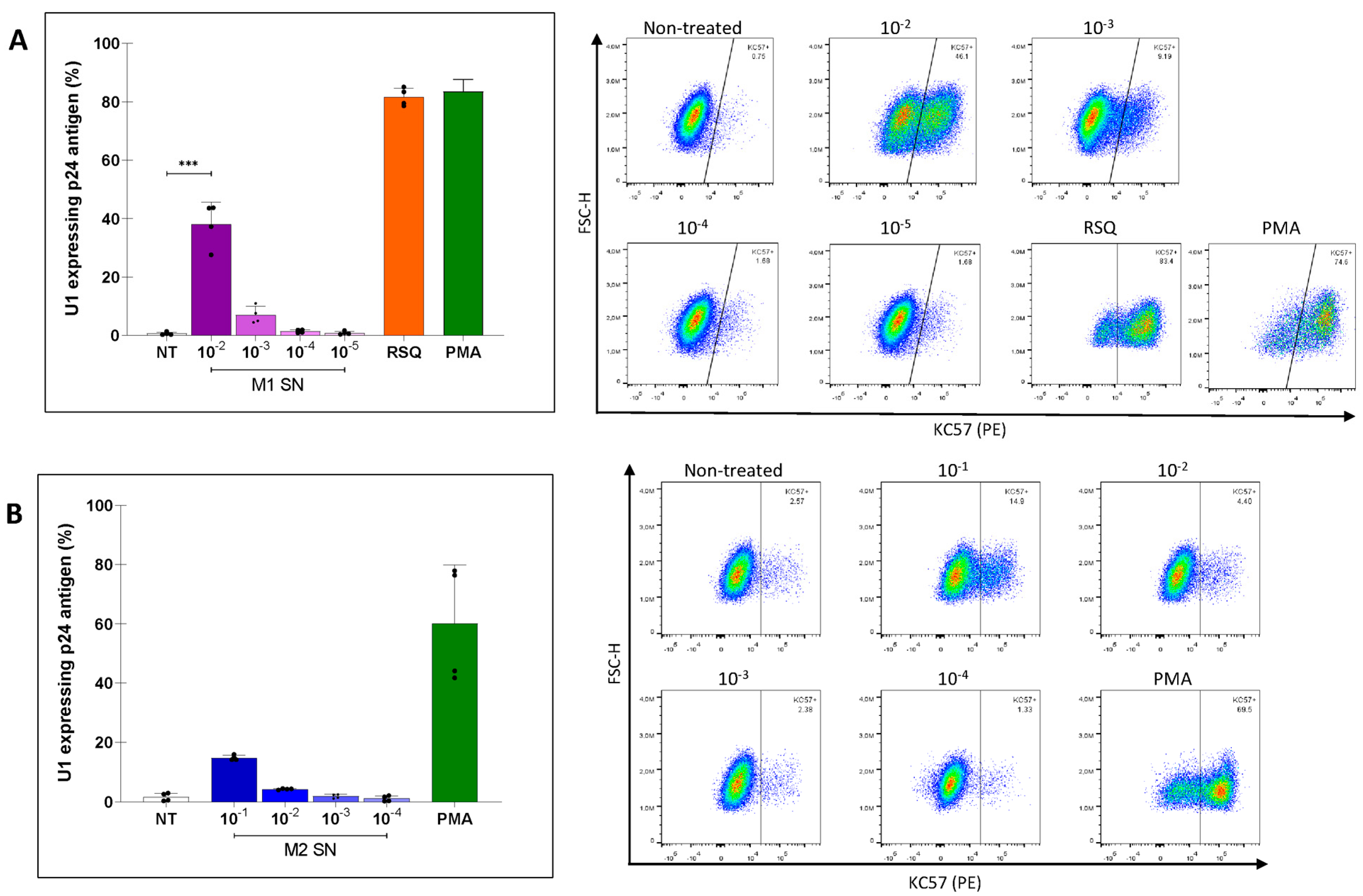 Viruses 16 01310 g003