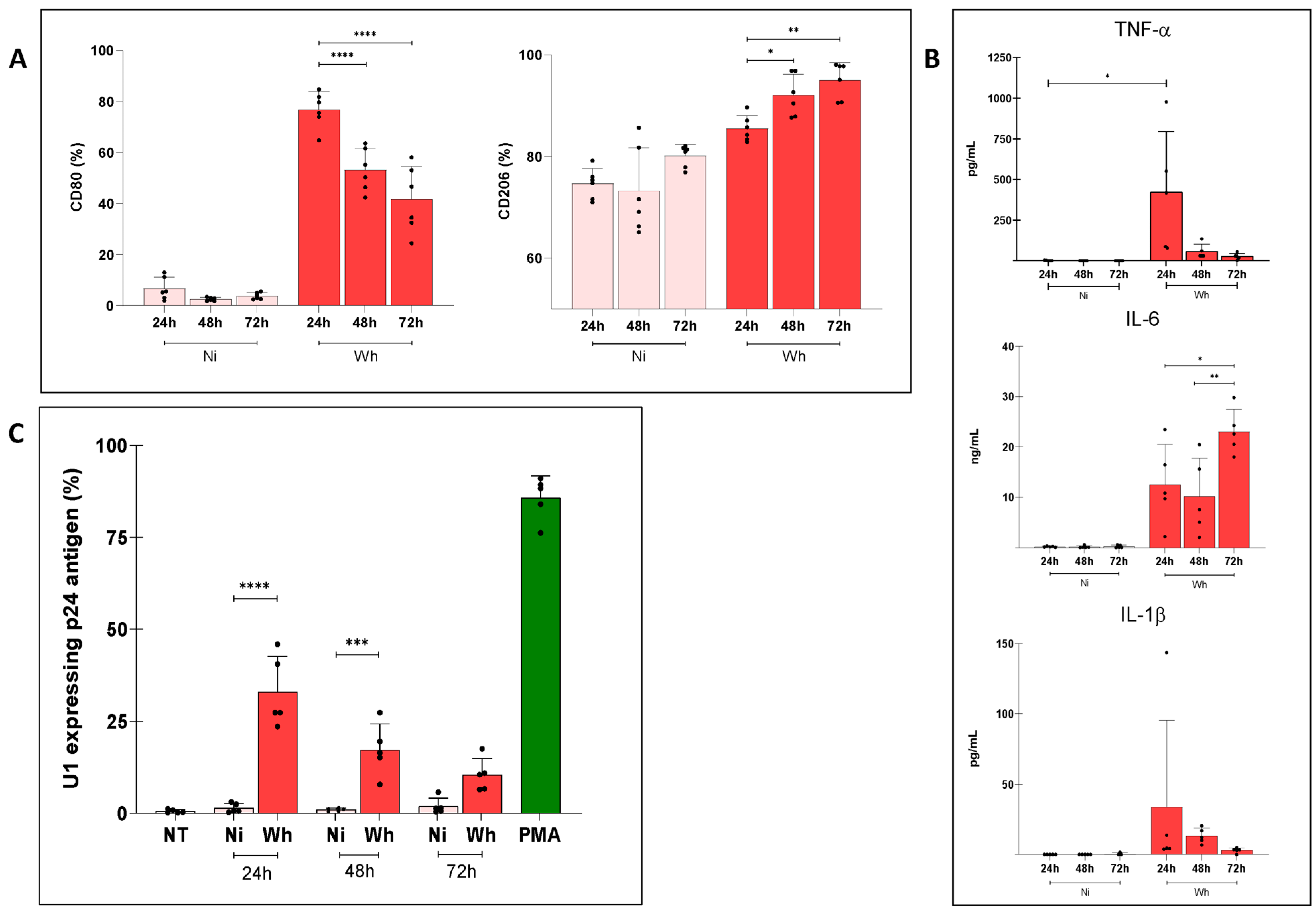 Viruses 16 01310 g004