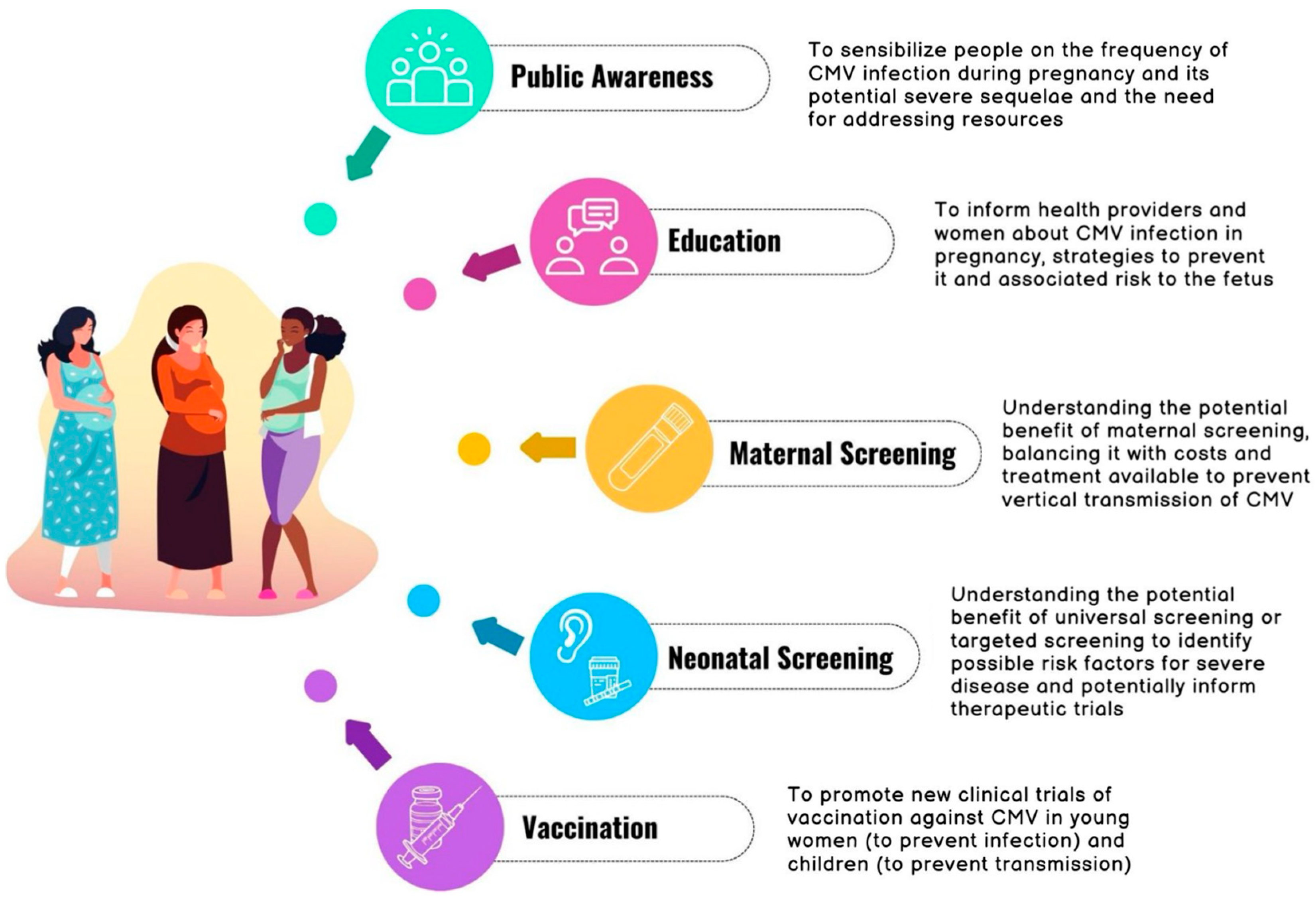 Viruses 16 01311 g001