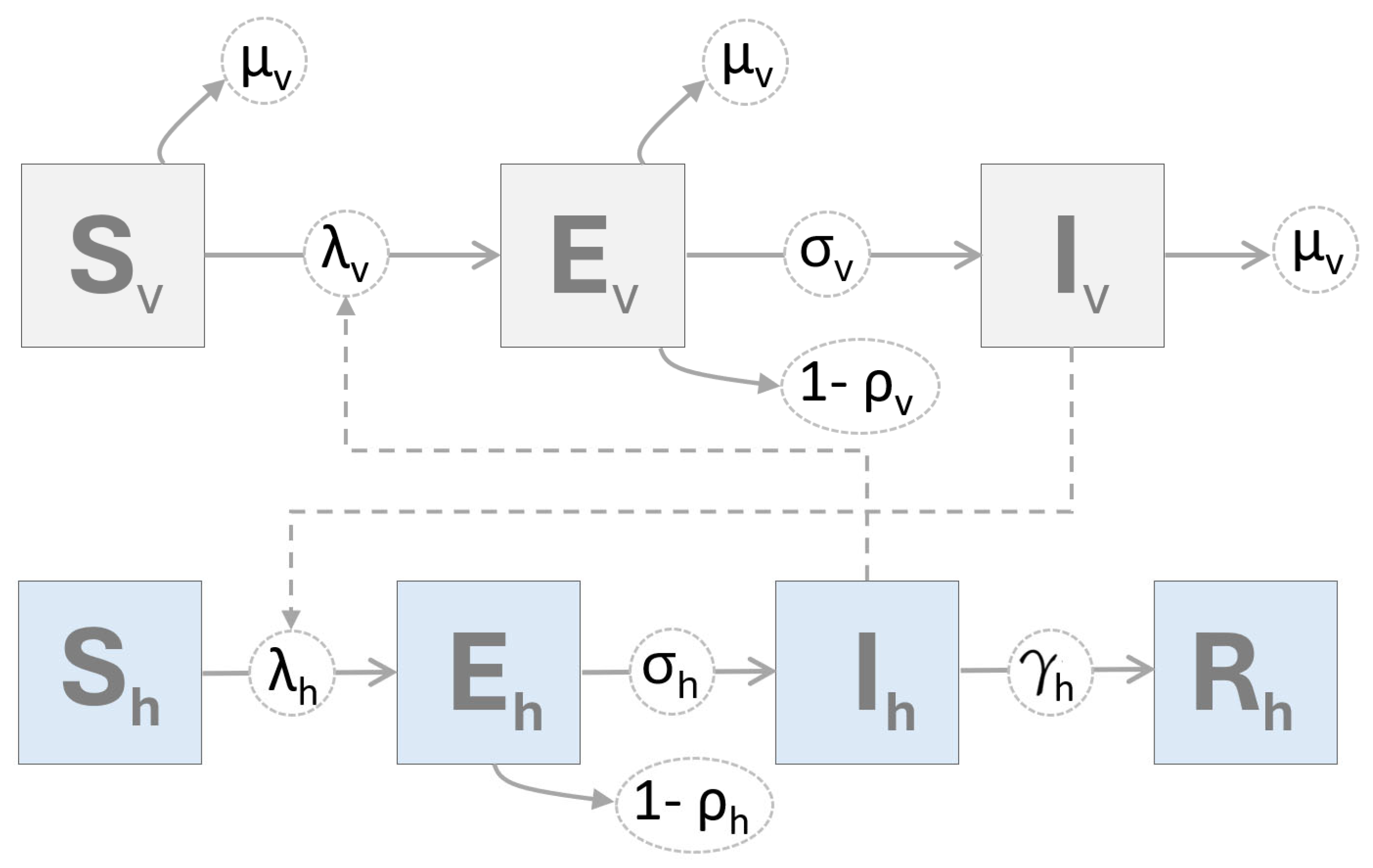 Viruses 16 01315 g001 Viruses 16 01315 g001