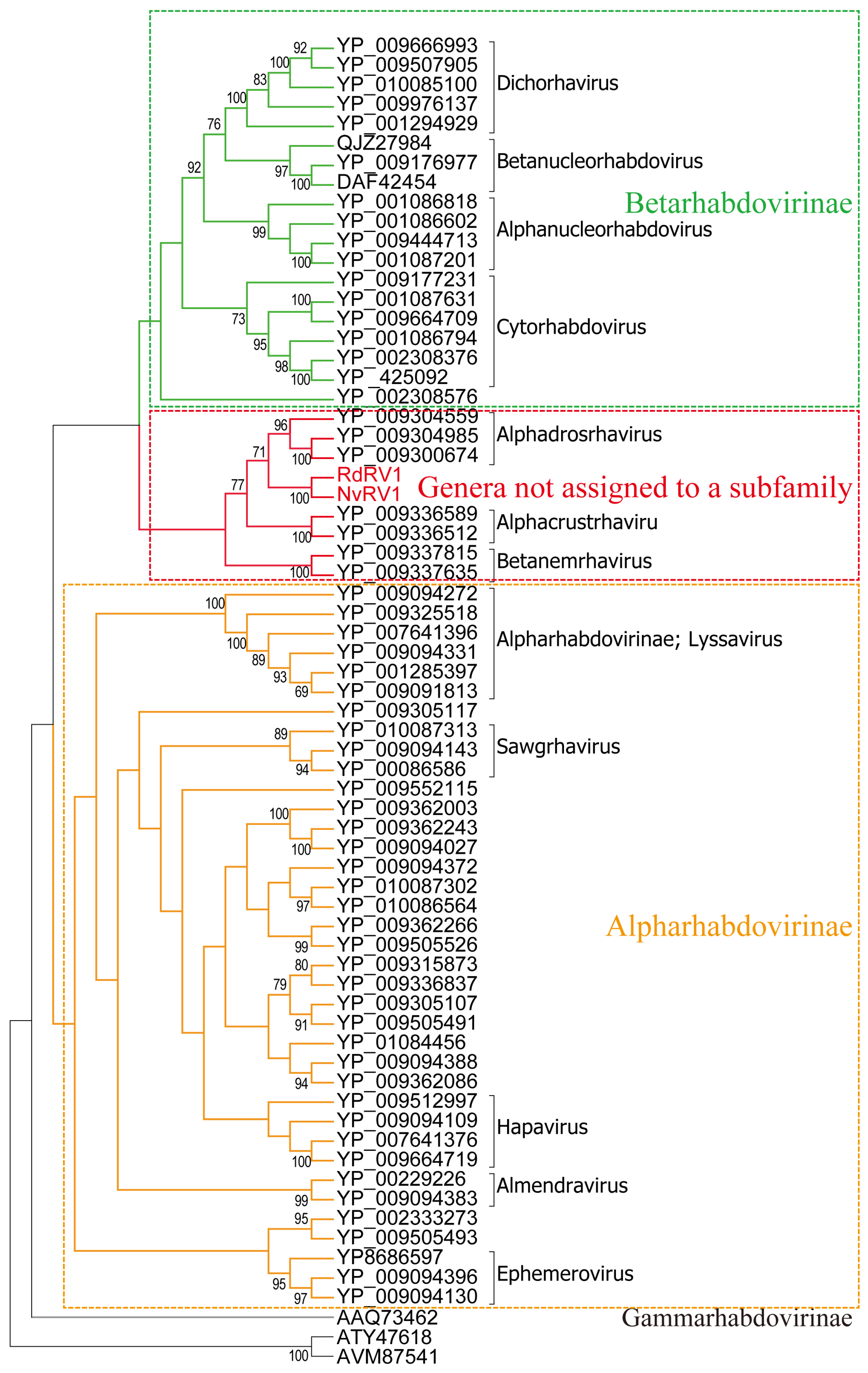 Viruses 16 01321 g003