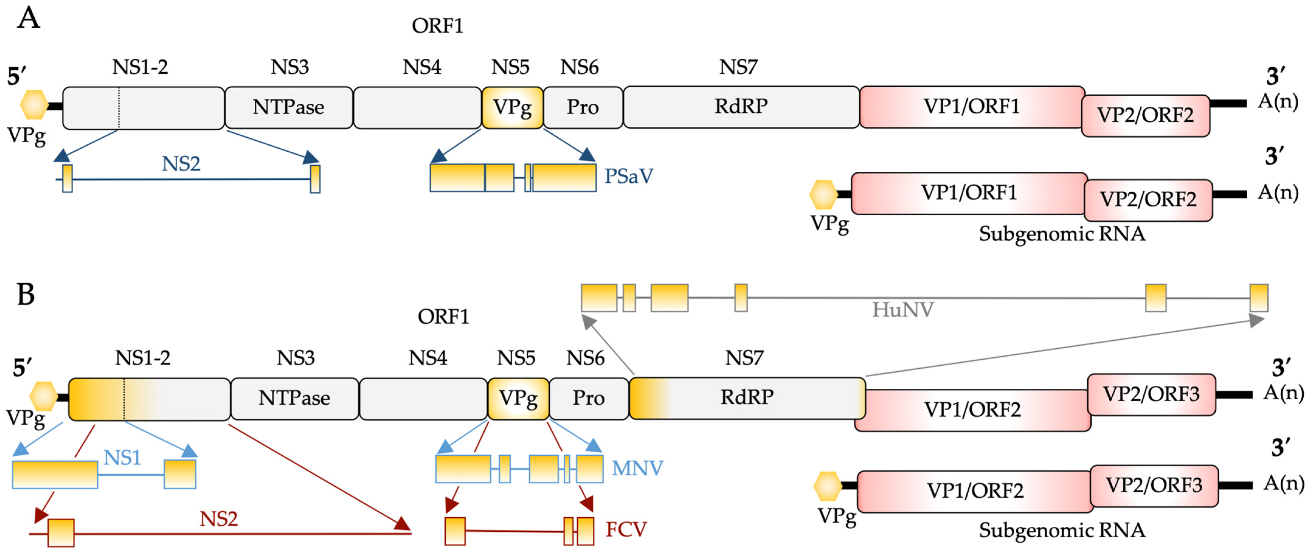Viruses 16 01324 g001 Viruses 16 01324 g001