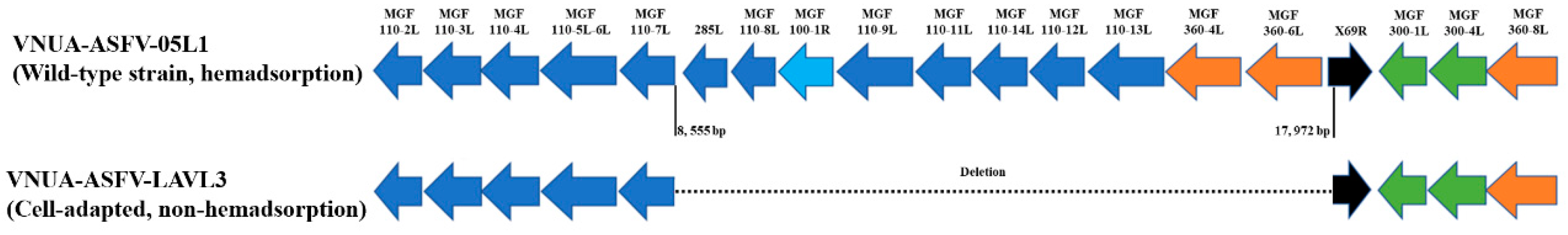 Viruses 16 01326 g002