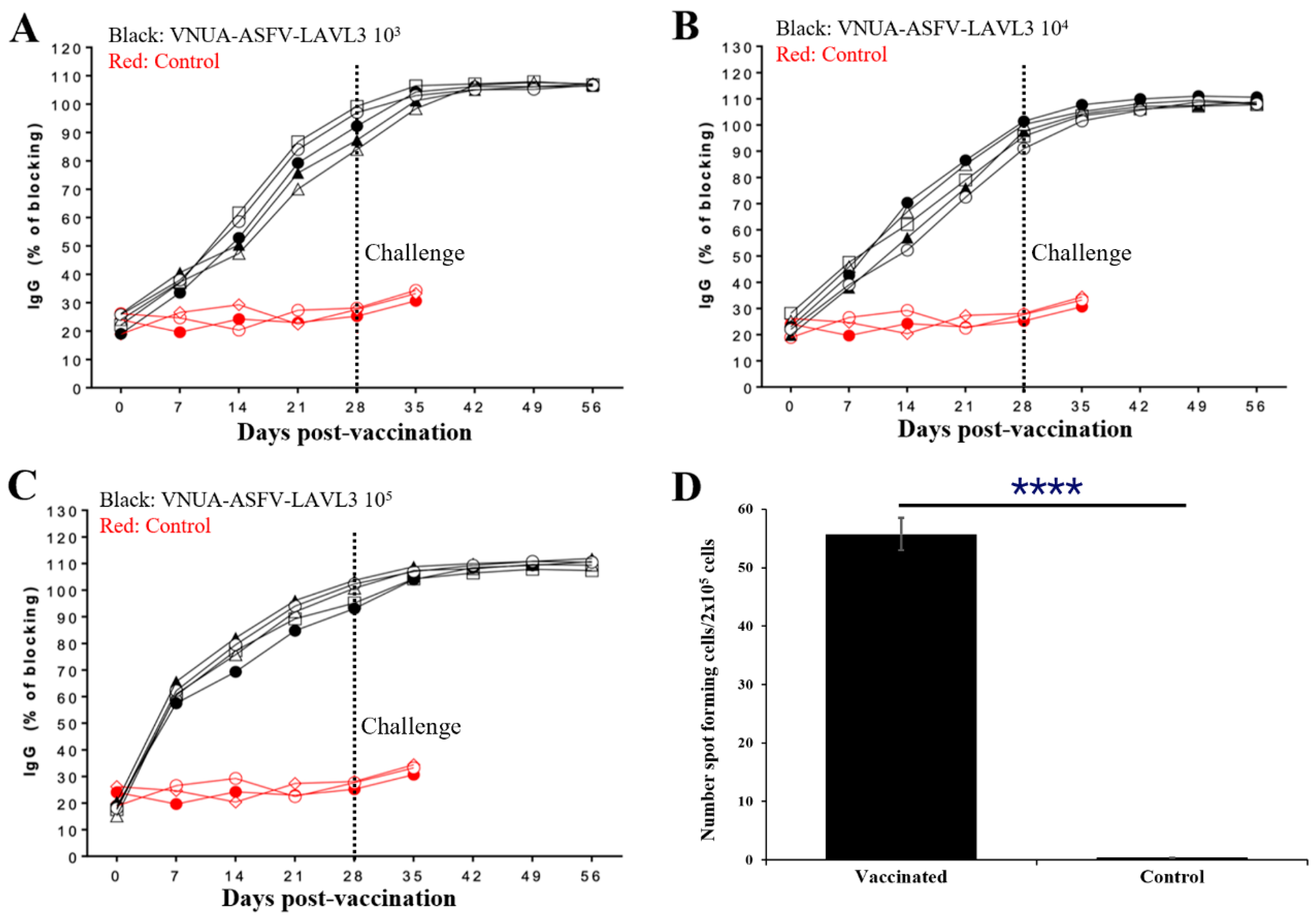 Viruses 16 01326 g006
