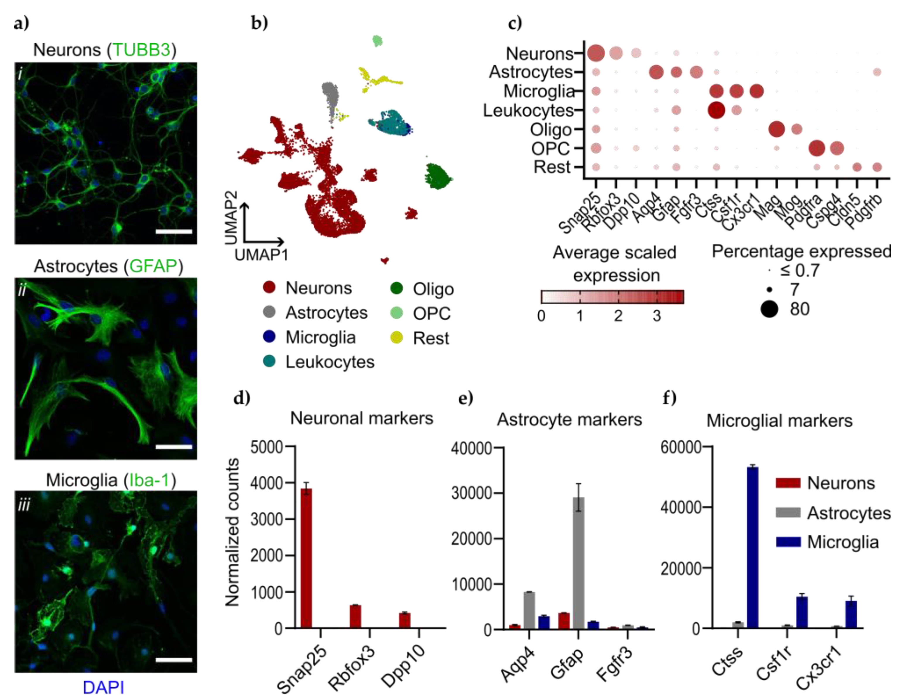 Viruses 16 01327 g002